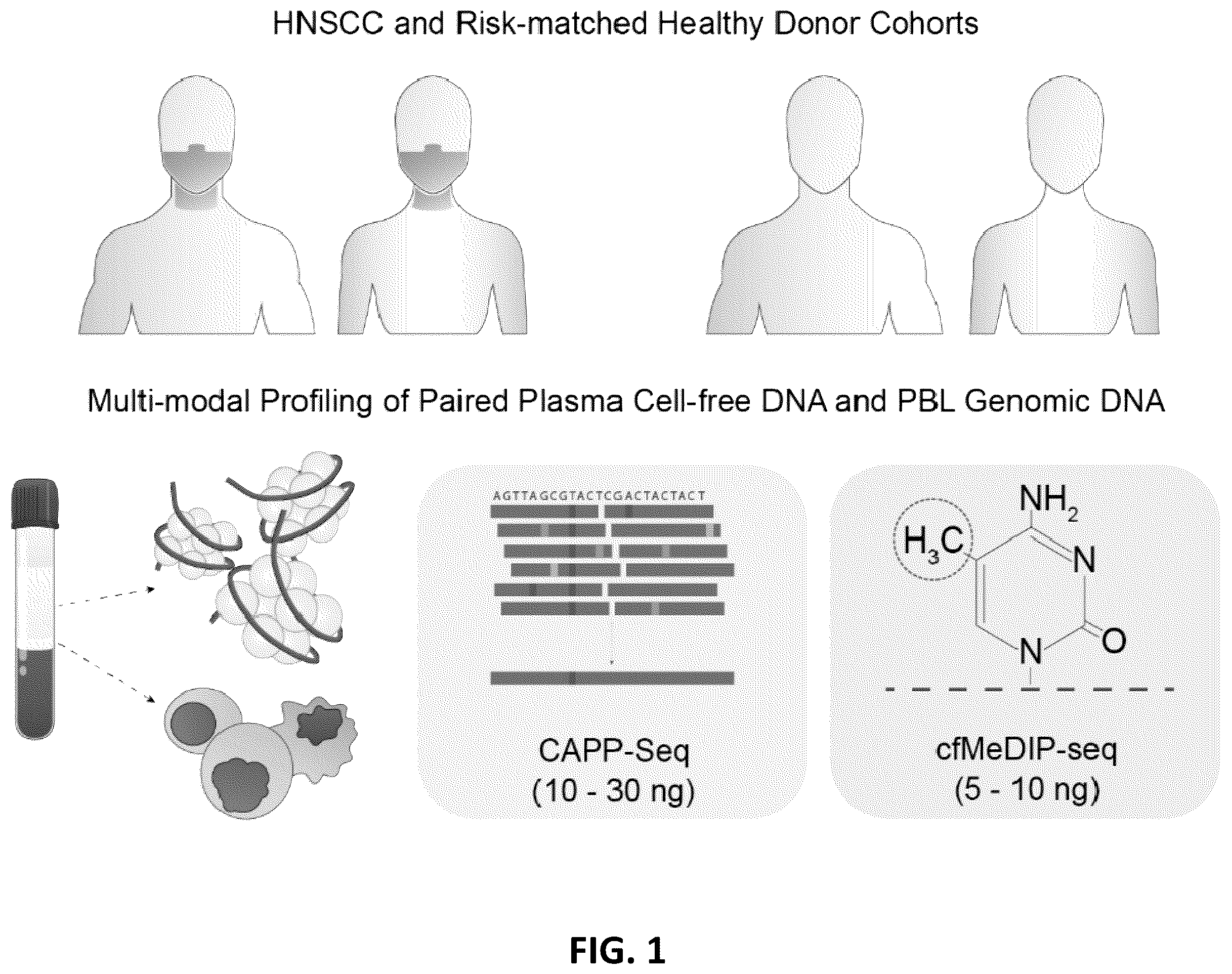 Patent US12592321 — Cancer detection and classification using methylome analysis — Figure 1