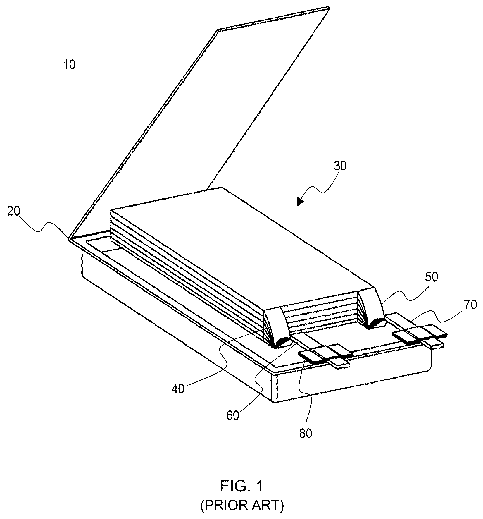 Patent US12592419 Figure 1 – Pouch type case and battery pack including the same