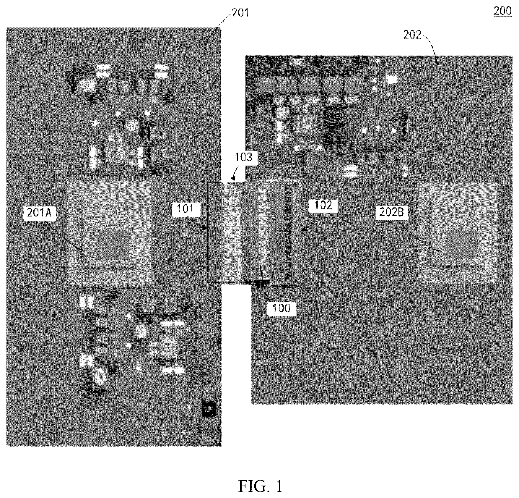 Patent US12592524 — Connector and electronic device — Figure 1