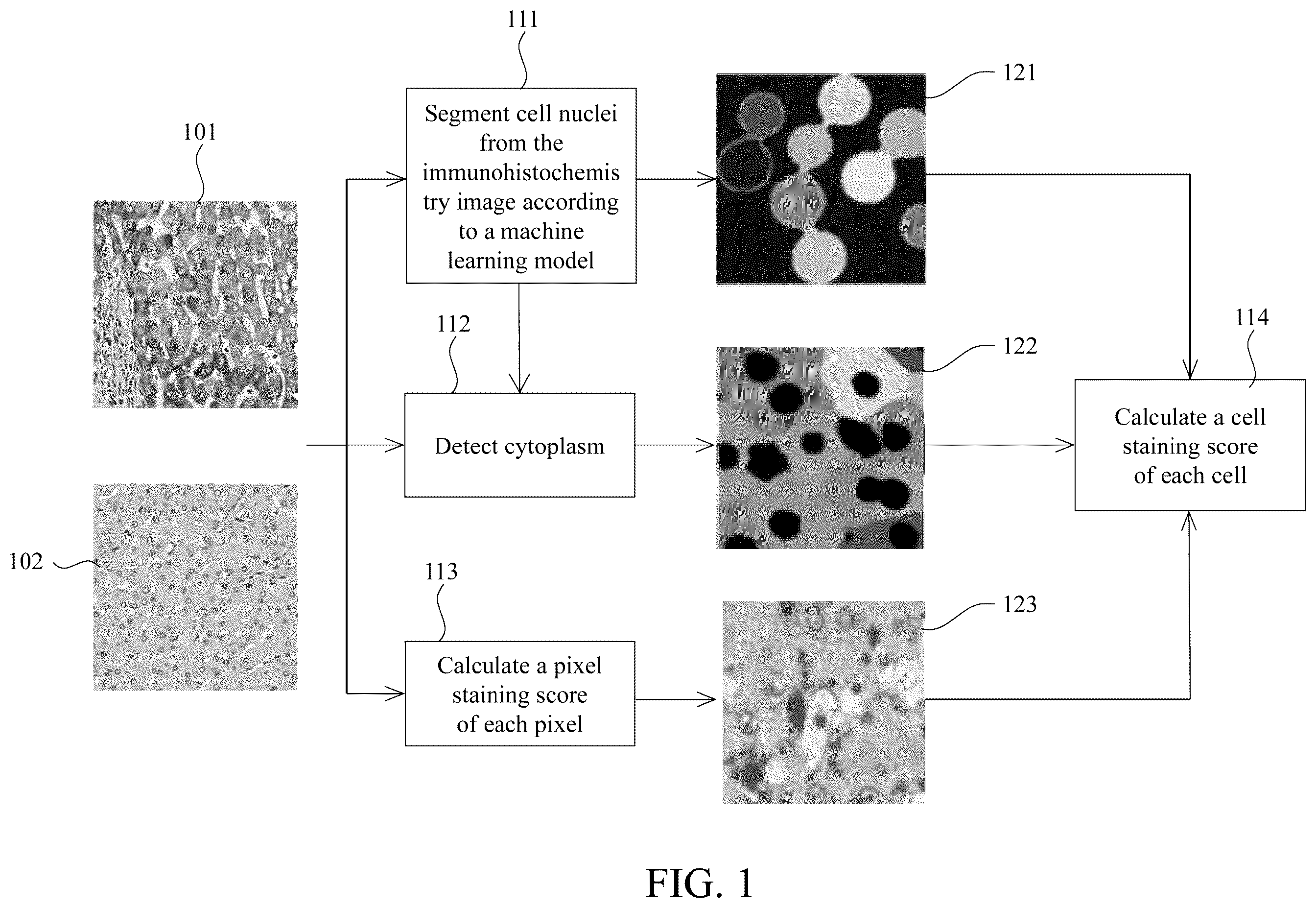 Patent US12597129 — Method for analyzing immunohistochemistry images — Figure 1