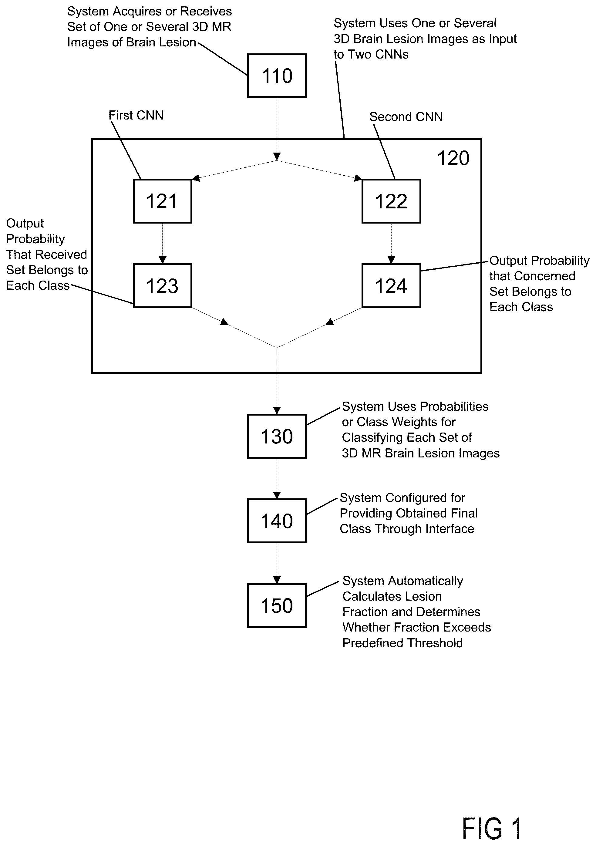 Patent US12597240 — Method and system for automated central vein sign assessment — Figure 1