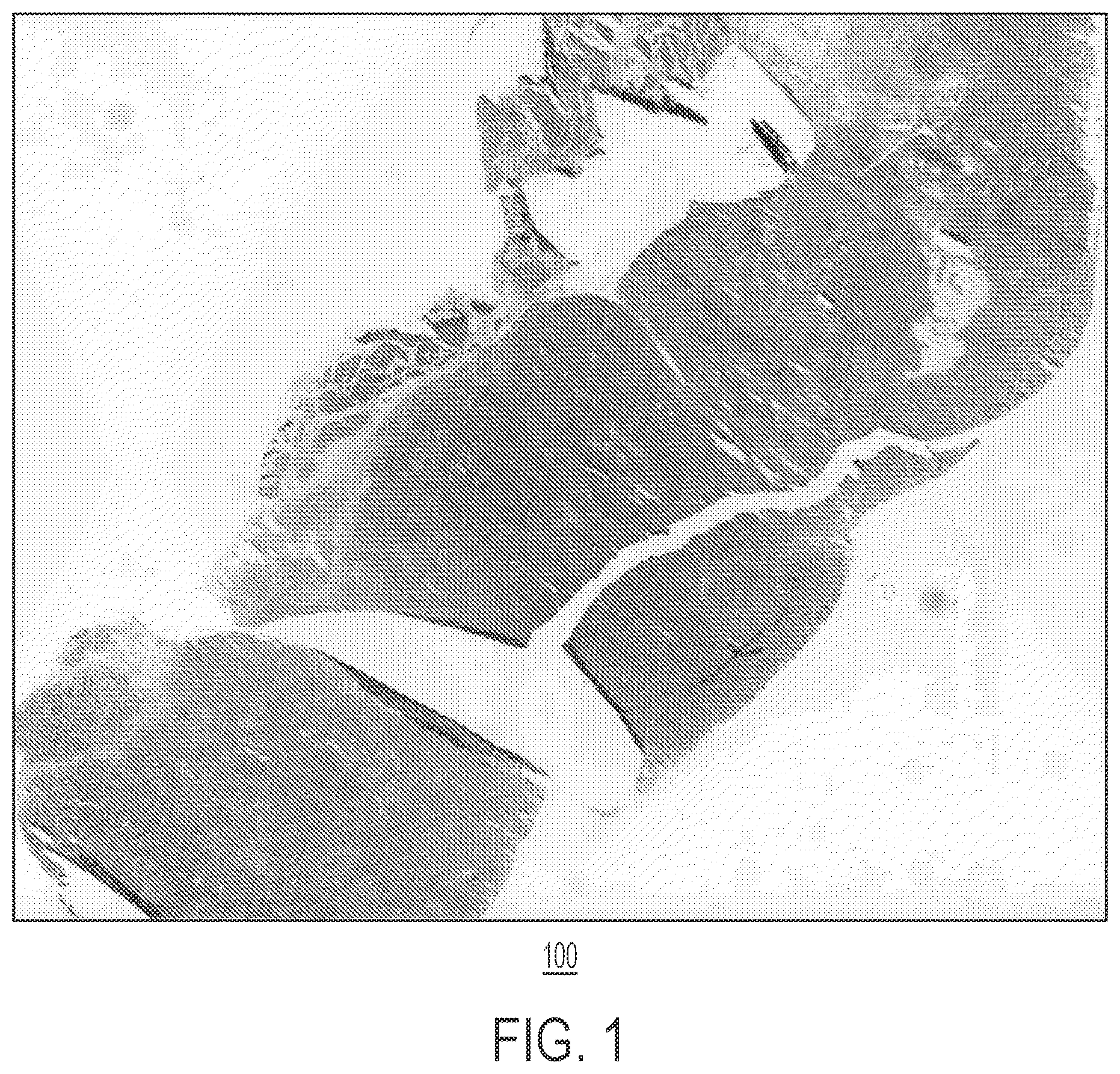 Patent US12597523 — Systems and methods for training a statistical model to predict tissue characteristics for a pathology image — Figure 1