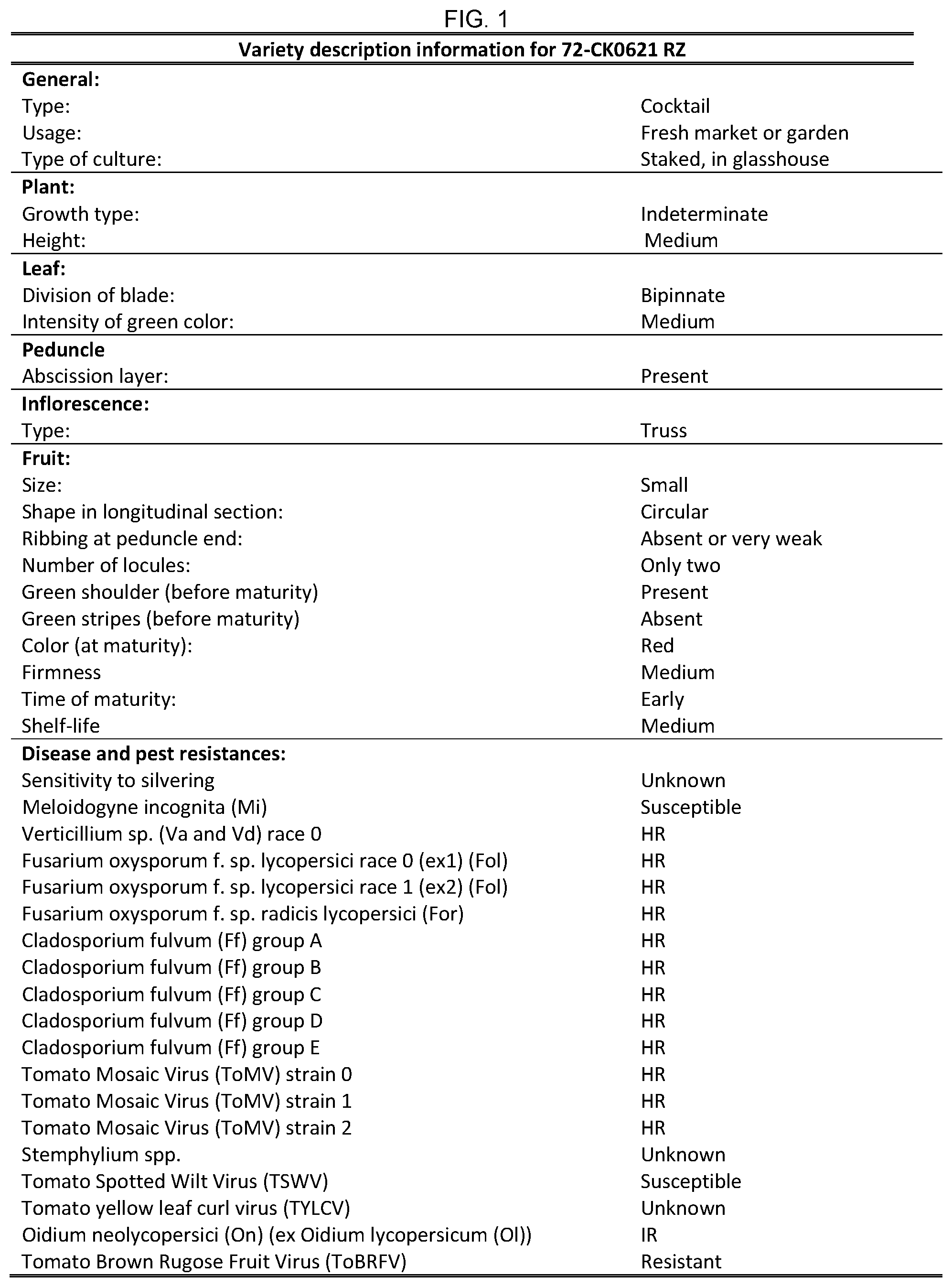 Patent US12599102 — Hybrid tomato variety 72-CK0621 RZ — Figure 1