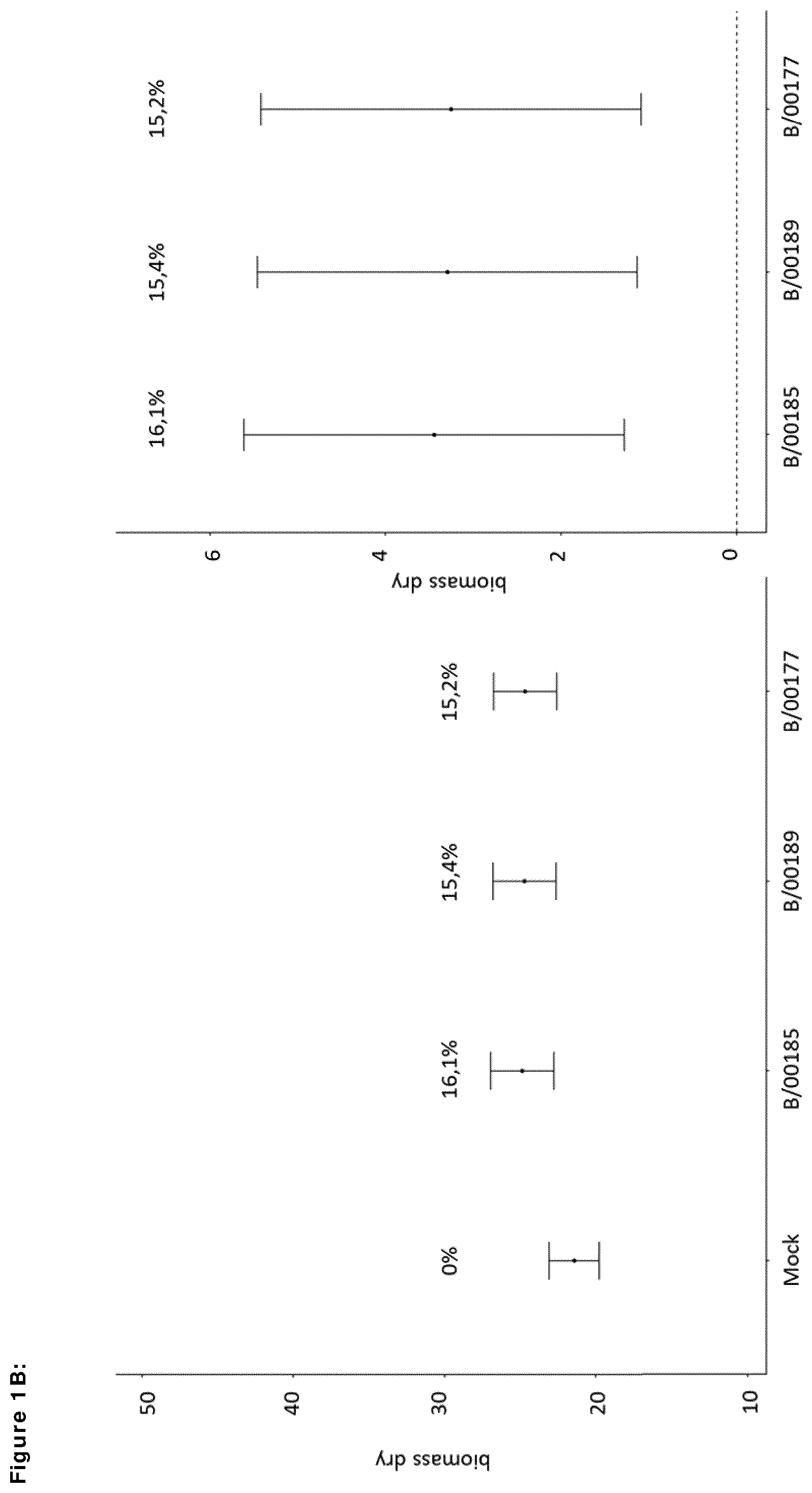 Patent US12599139 Figure 2 – Means and methods for improving plant growth and yield