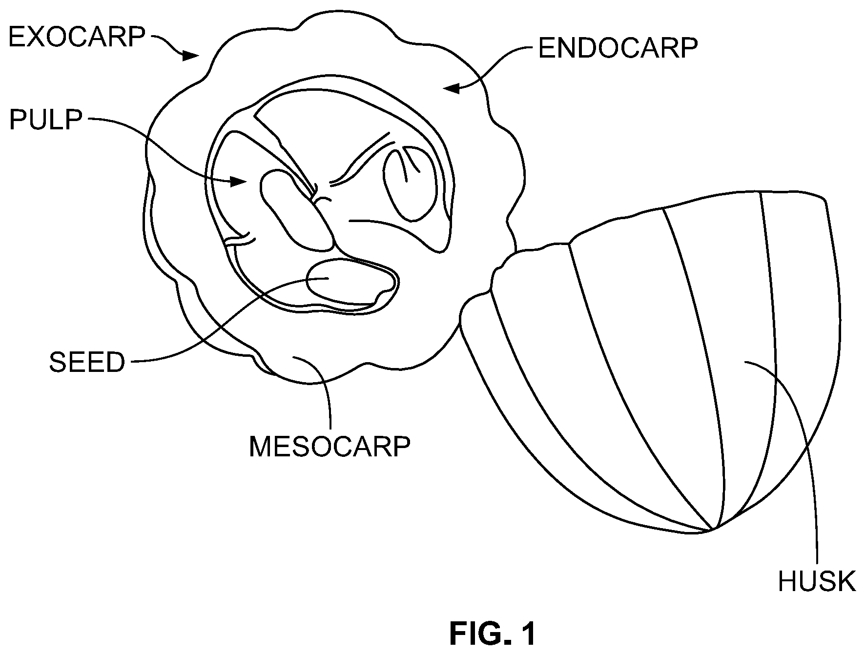 Patent US12599146 Figure 1 – Preparation of fat-based confections