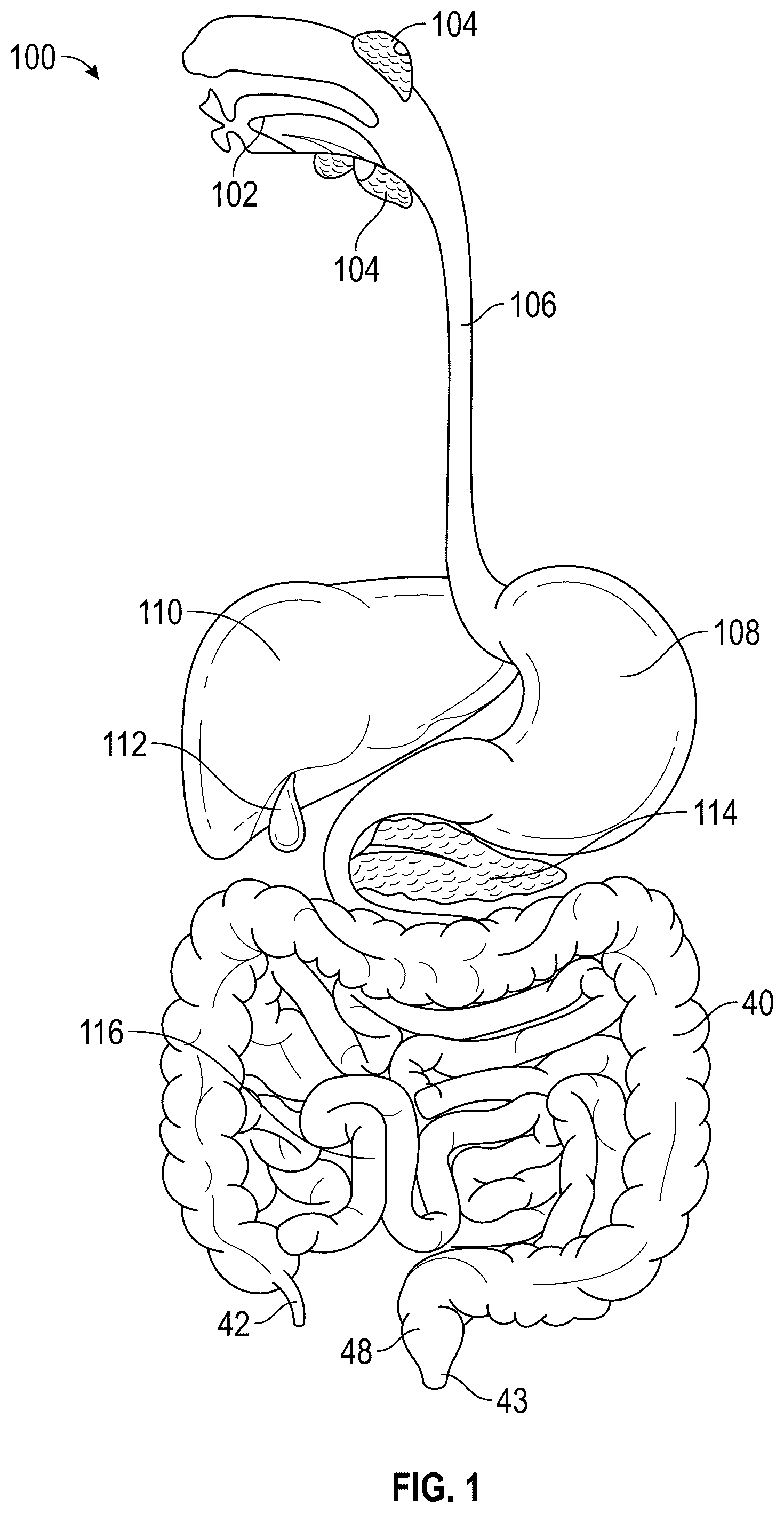 Patent US12599285 — Analysis of in-vivo images using connected graph components — Figure 1