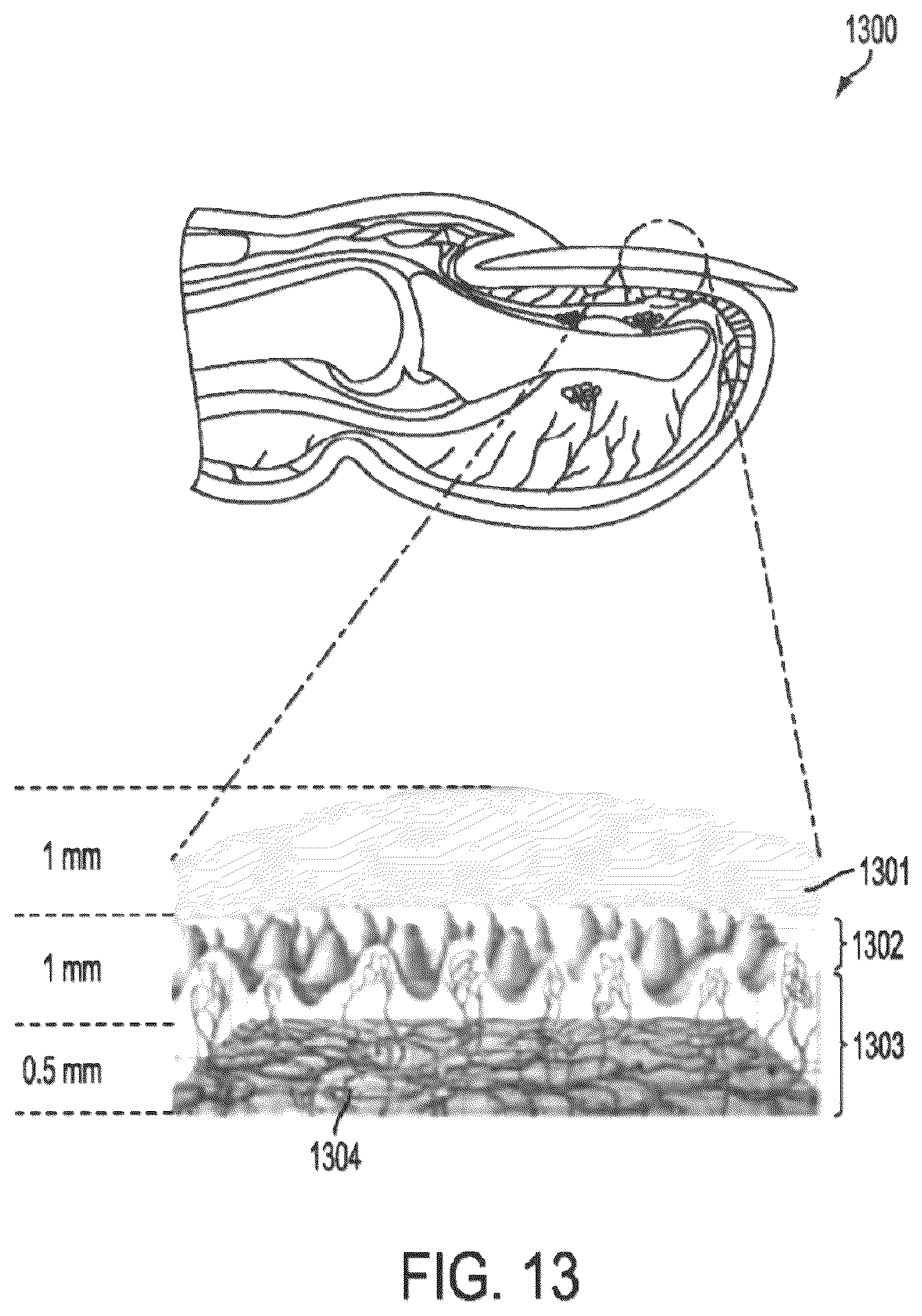 Patent US12599305 Figure 18 – 3D cameras or sensors inputting to multi-modal generative artificial intelligence models trained on images or videos