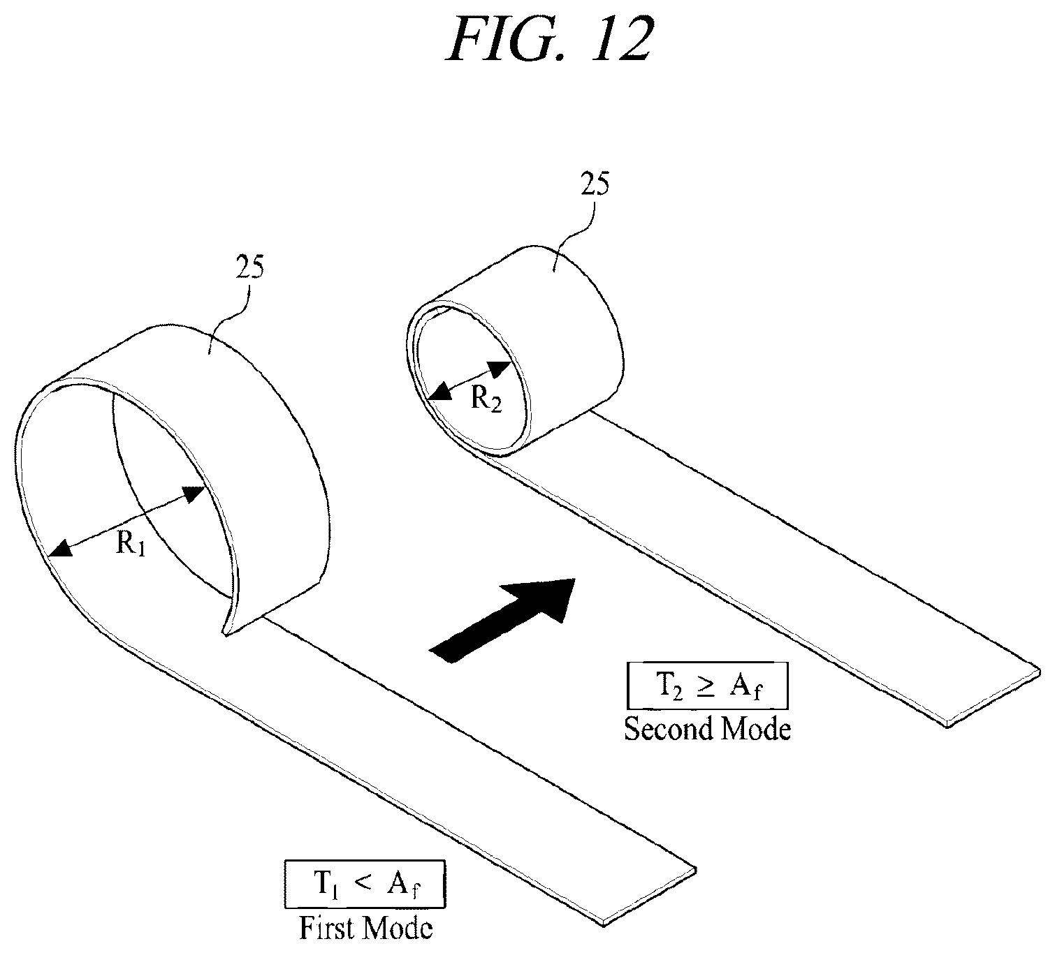 Patent US12599430 Figure 20 – Systems and methods for perivascular nerve denervation