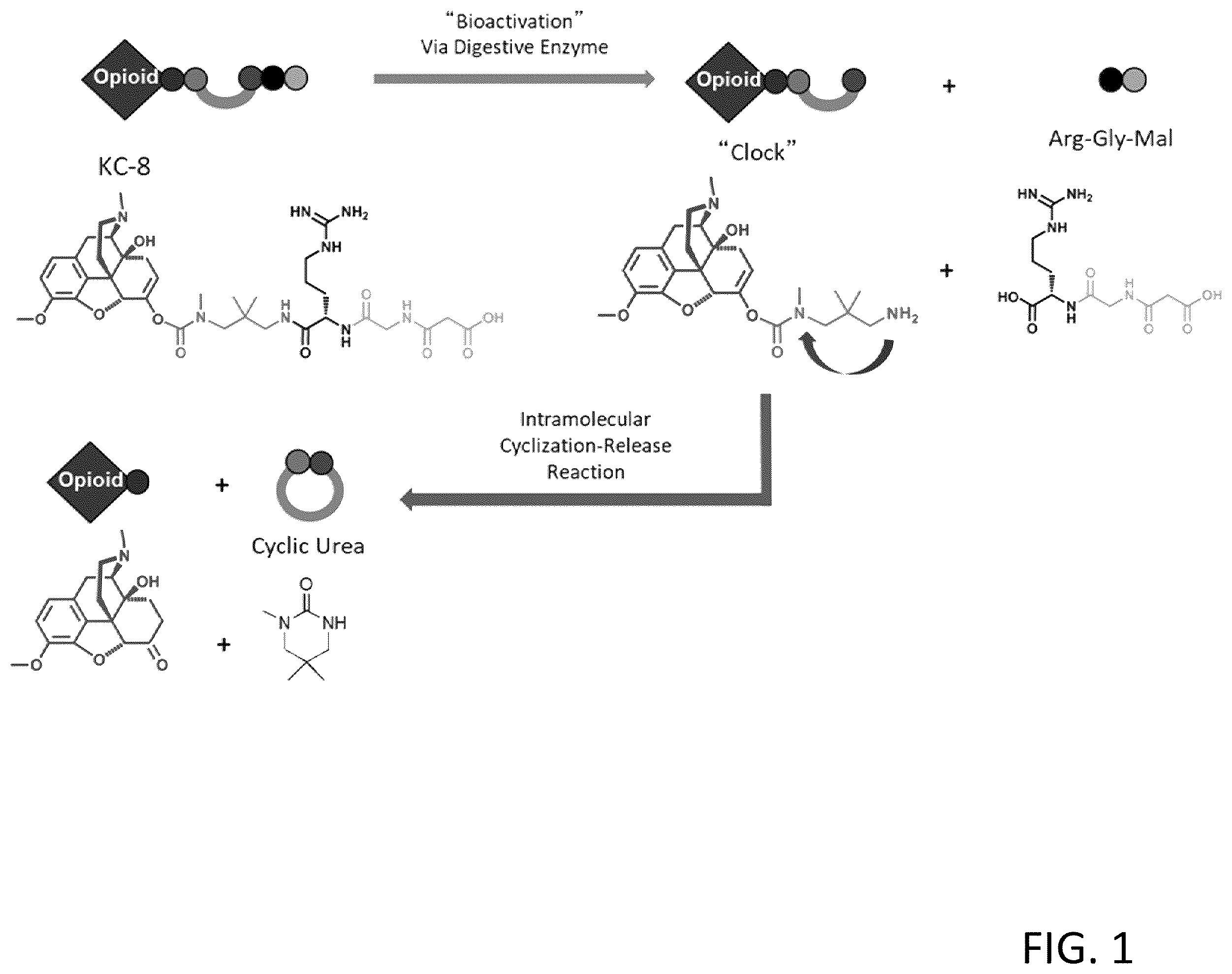 Patent US12599578 — Compositions comprising enzyme-cleavable prodrugs and controlled release nafamostat and methods of use thereof — Figure 1