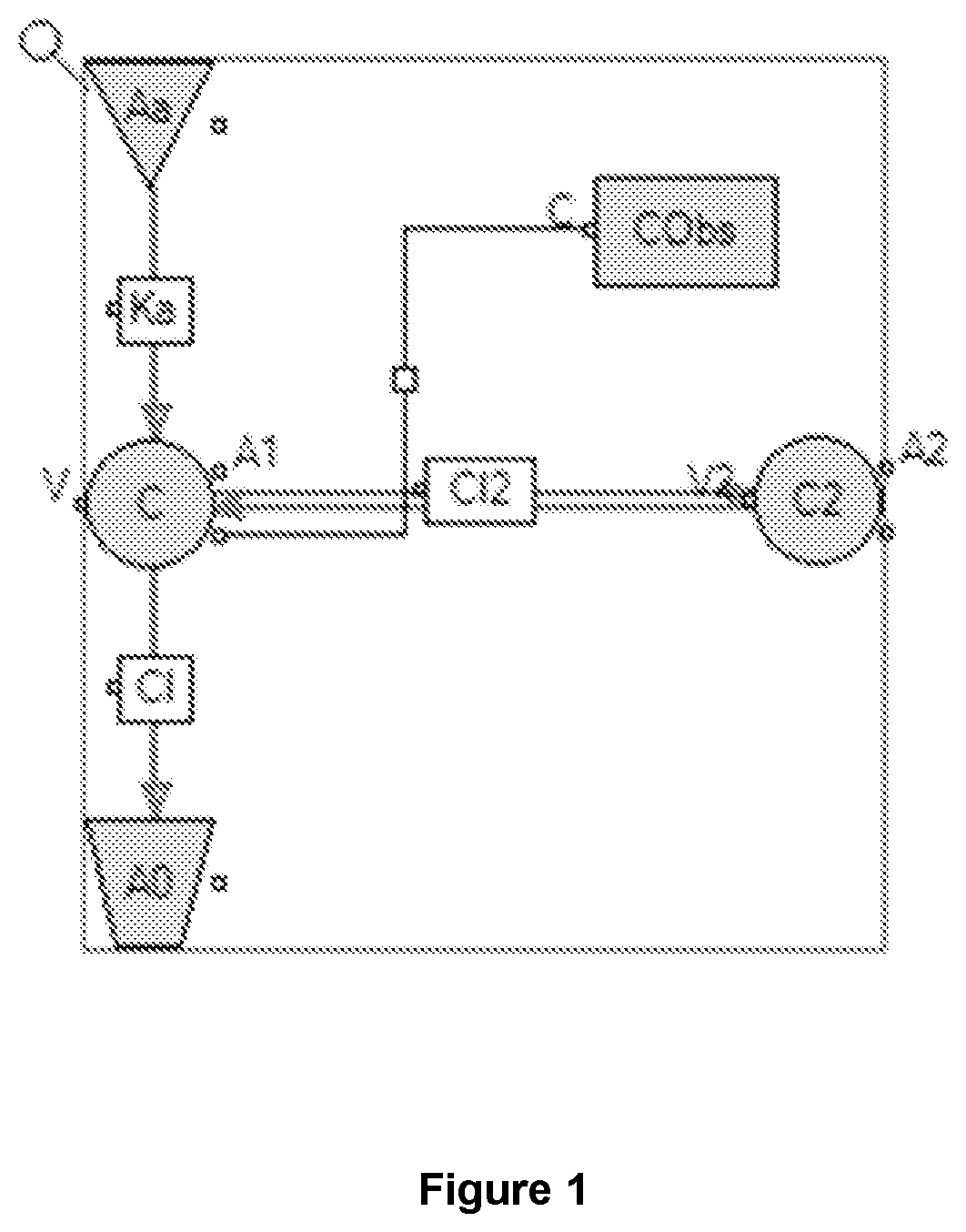 Patent US12599590 — Veterinary formulations comprising rapamycin and methods of using the same for treating animal disease — Figure 1