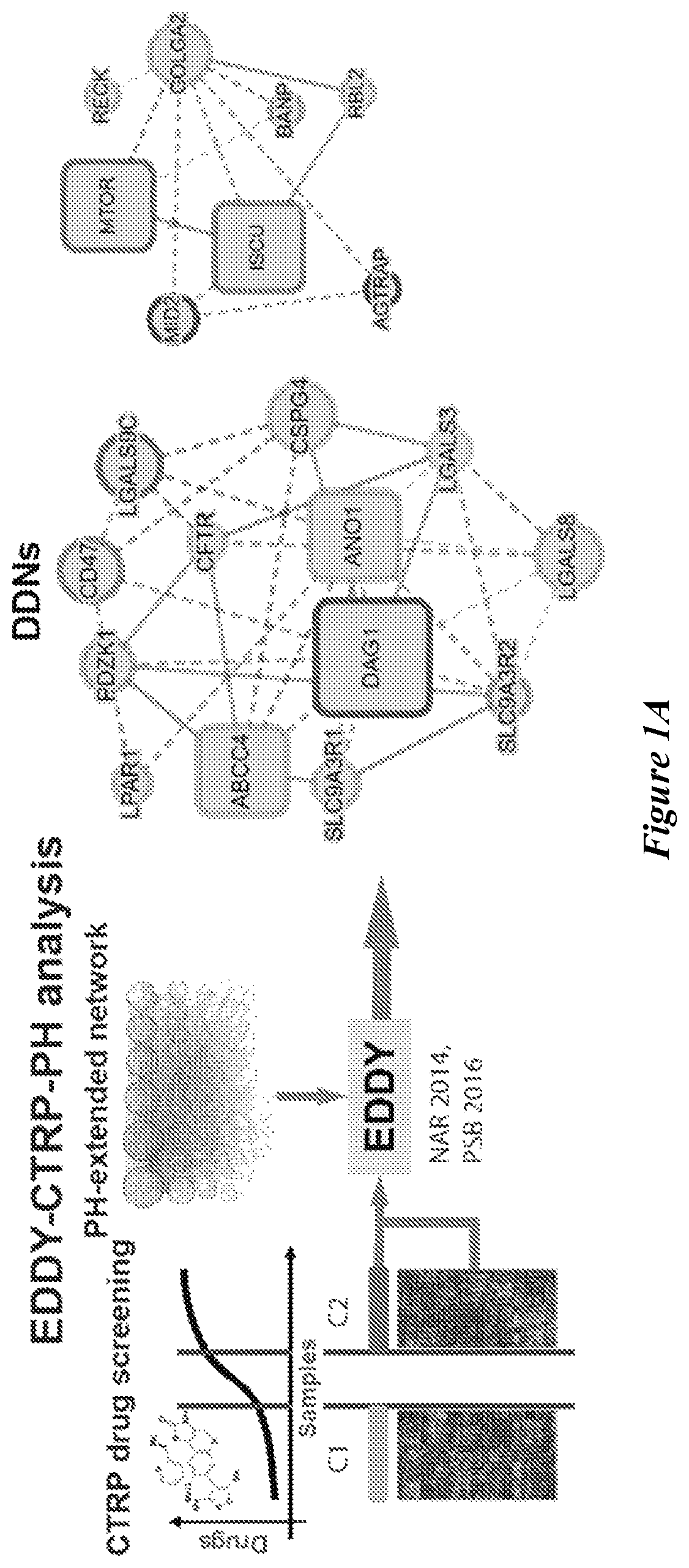 Patent US12599592 Figure 1 – Therapeutic small molecules for treatment of pulmonary hypertension