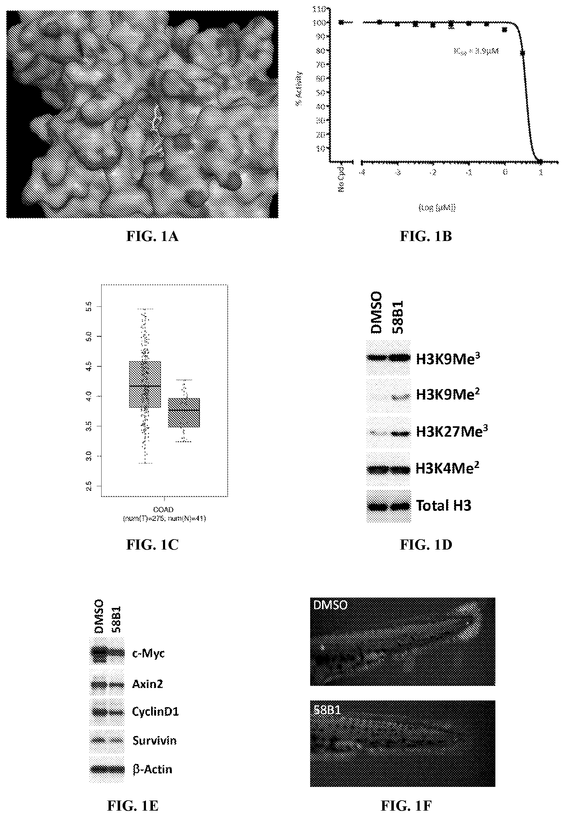 Patent US12599597 — Substituted N-benzhydrylacetamide inhibitors of jumanji domain histone demethylases for the treatment of cancer — Figure 1