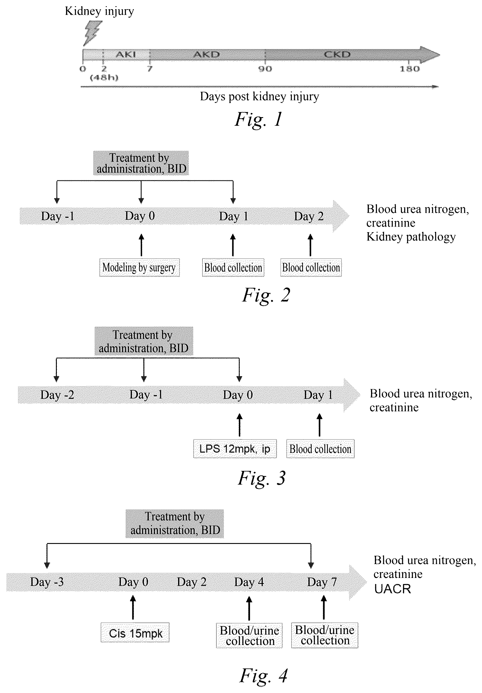Patent US12599604 Figure 1 – Application of JAK inhibitor in kidney disease