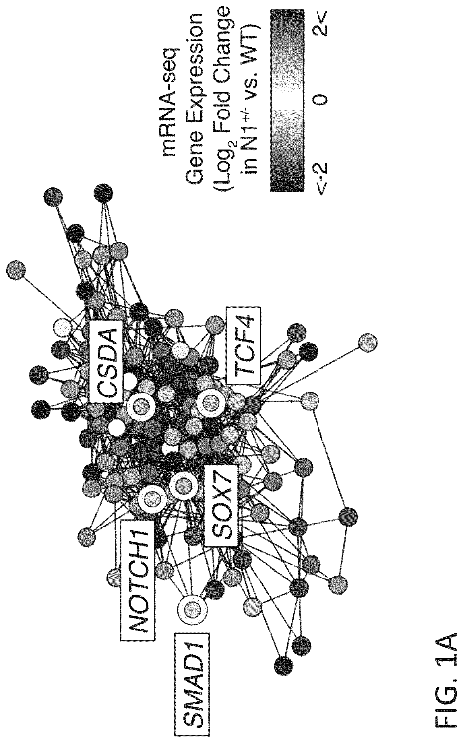 Patent US12599608 — Methods for treating cardiac valve disease — Figure 1