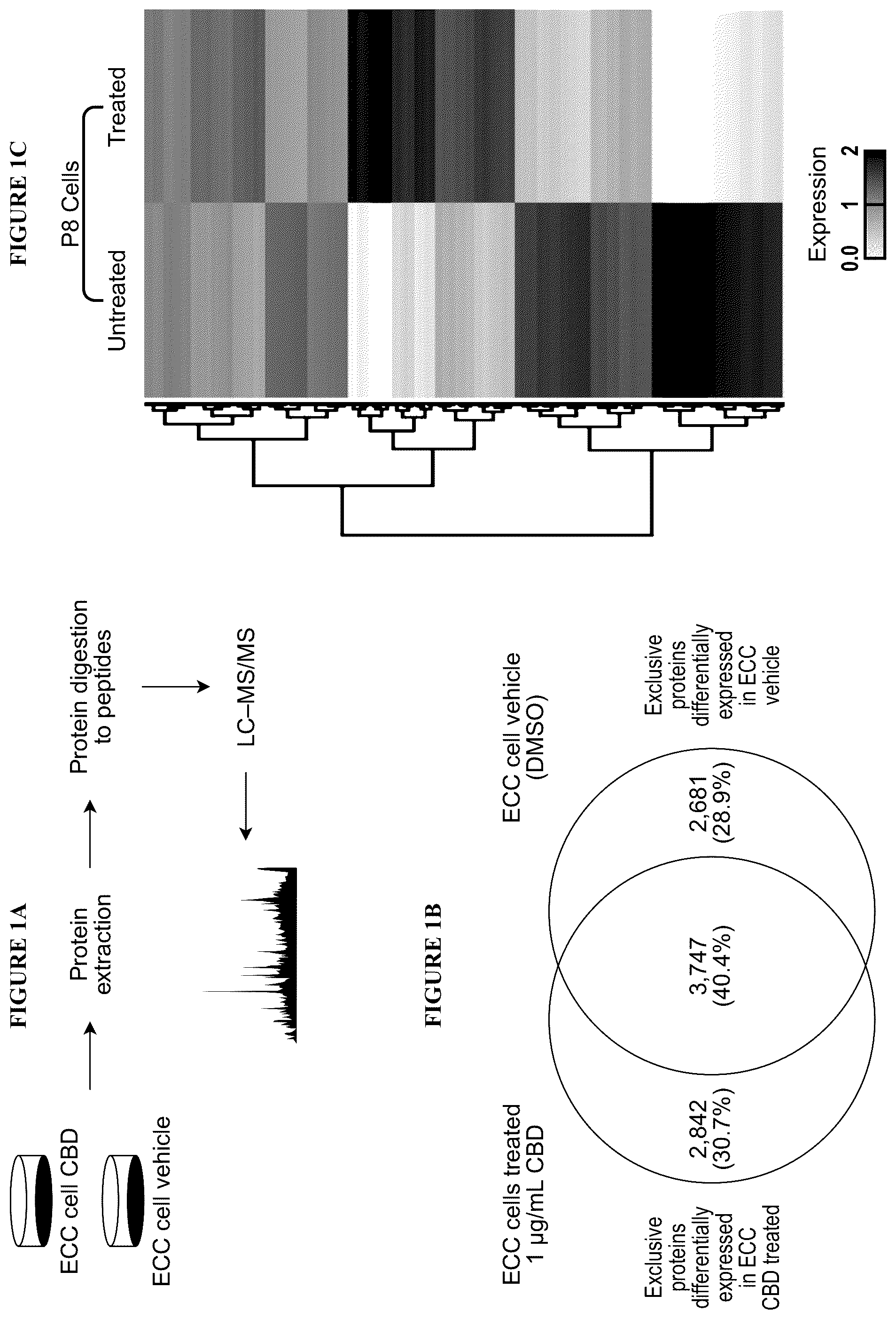 Patent US12599617 — Methods of treating head and neck cancers with hemp extract — Figure 1