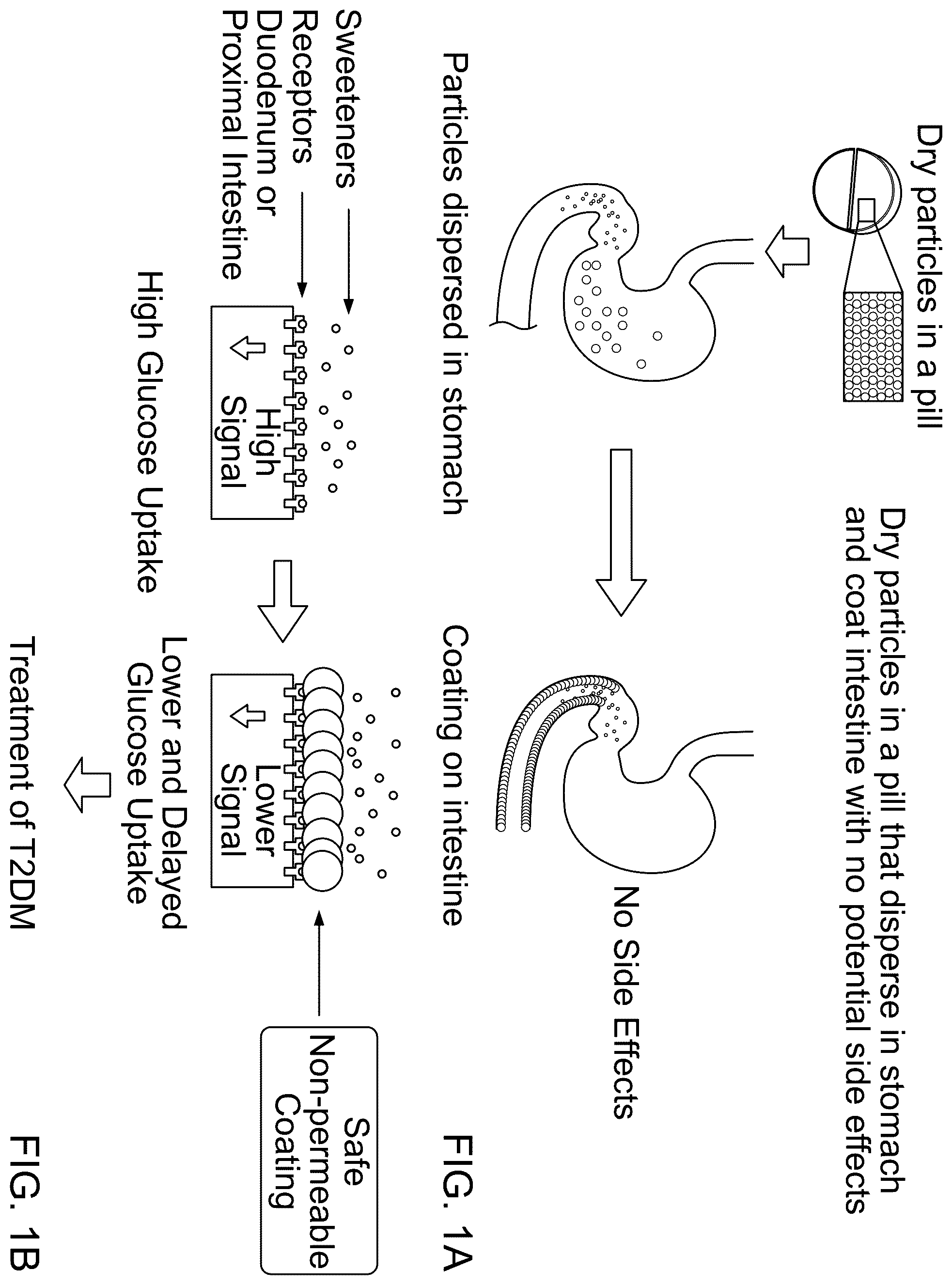 Patent US12599622 — Compounds to modulate intestinal absorption of nutrients — Figure 1