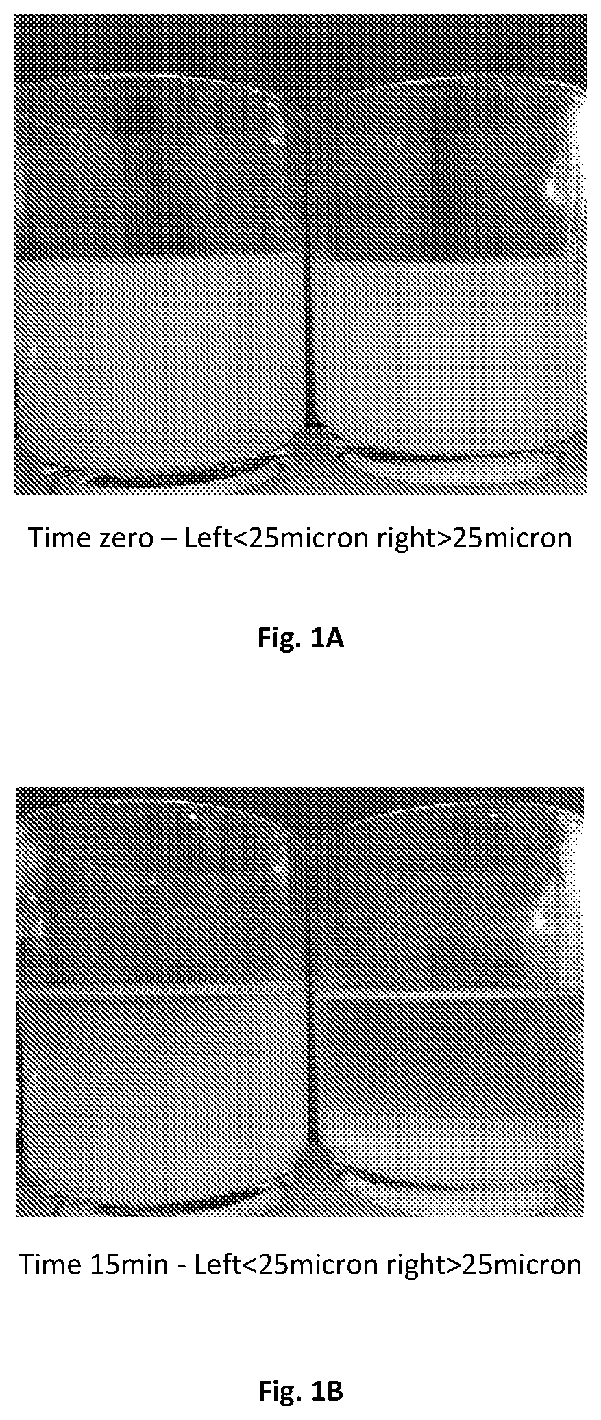 Patent US12599629 — Coagulation mold, a kit and a method for preparing a coagulated blood mass — Figure 1