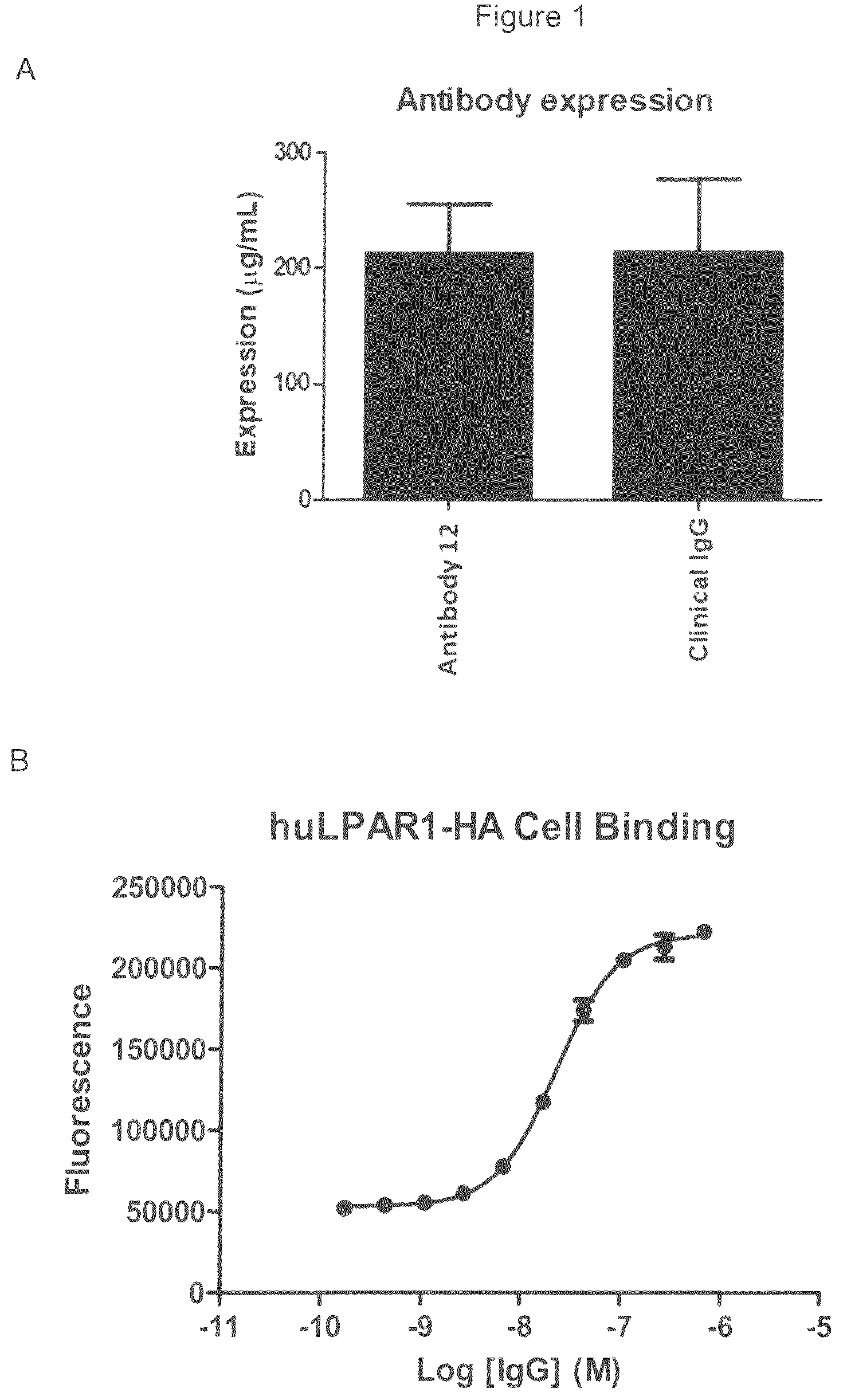 Patent US12599645 — Antibodies which bind to lysophosphatidic acid receptor 1 (LPAR1) — Figure 1