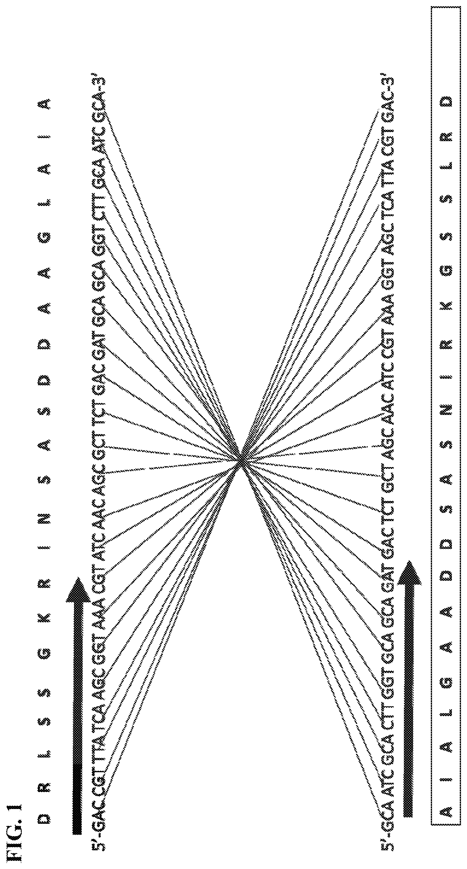 Patent US12599649 — Bioactive polypeptides for improvements in plant protection, growth and productivity — Figure 1