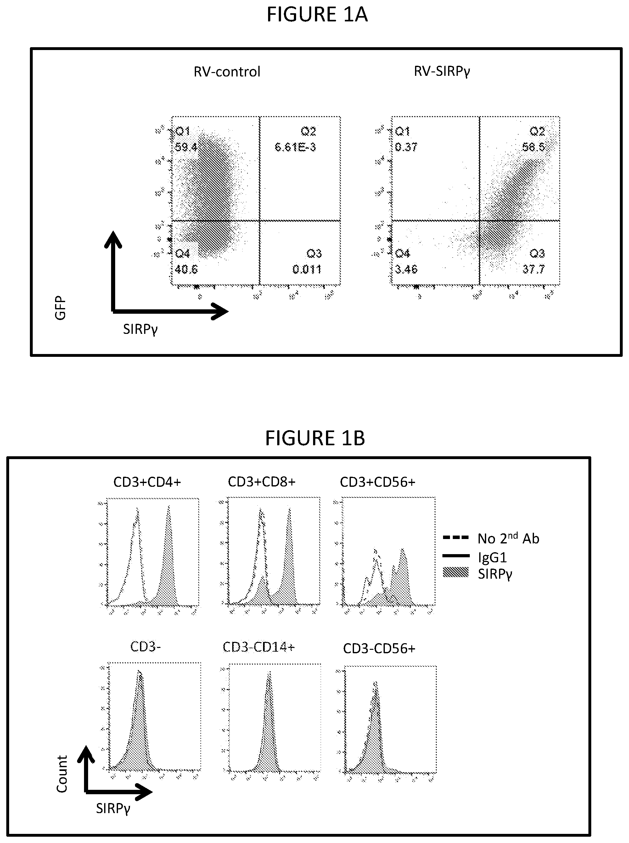 Patent US12599650 — Inhibition of SIRP-gamma for cancer treatment — Figure 1