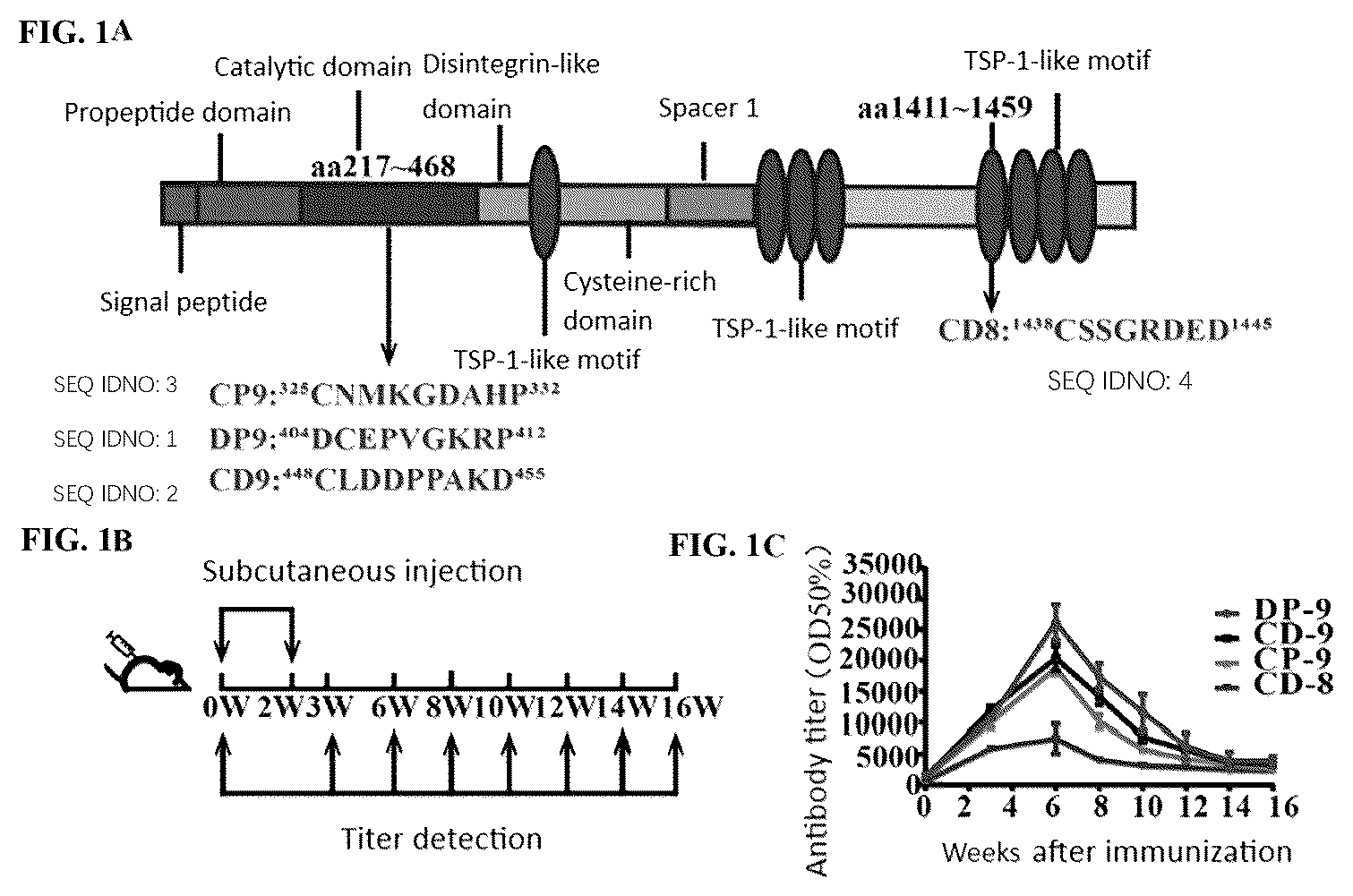 Patent US12599654 — Immunogenic peptide fragments of metalloprotease ADAMTS-7 and uses thereof in anti-atherosclerosis and related diseases — Figure 1