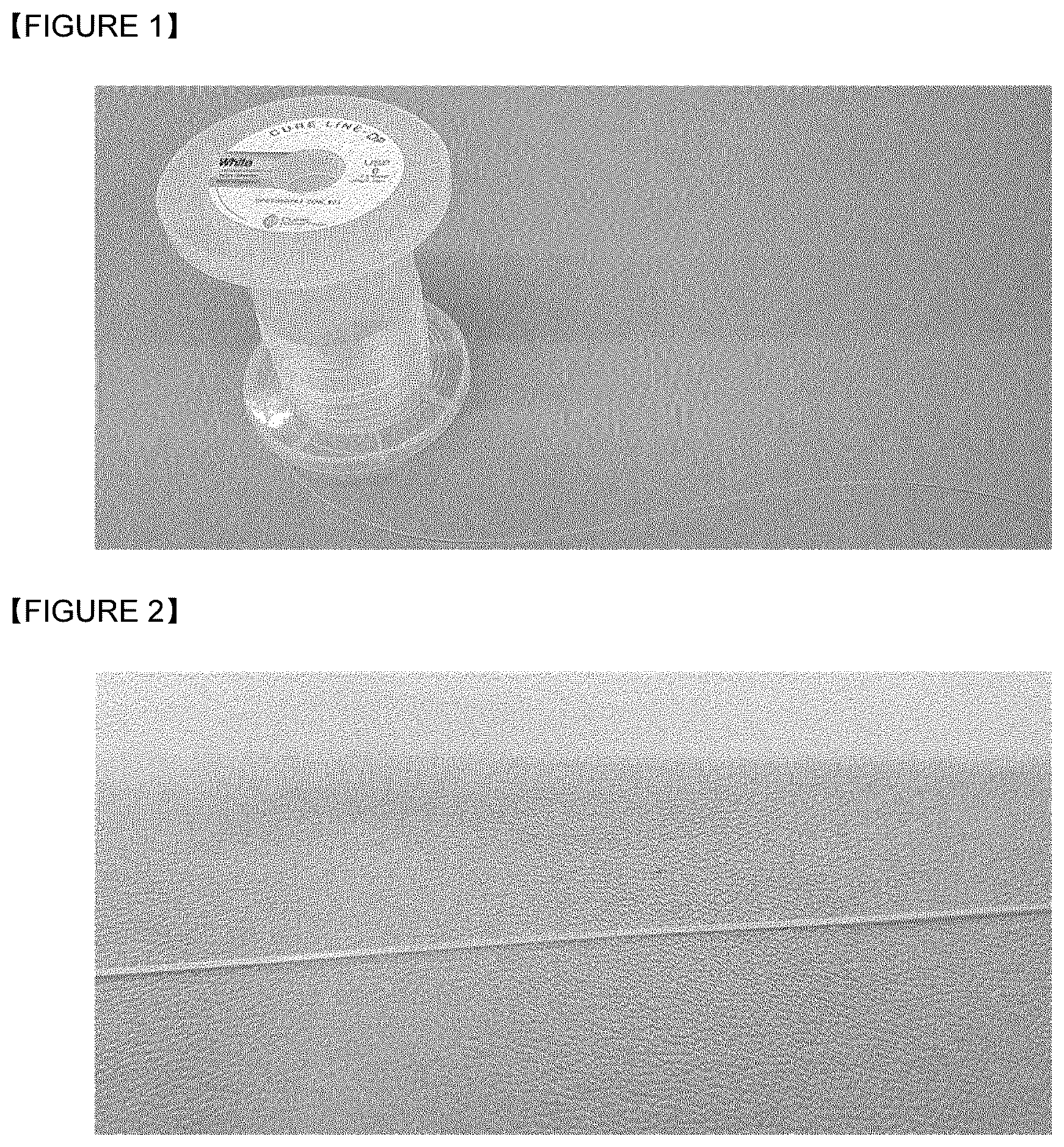 Patent US12599695 — Absorbable suture containing polydeoxyribonucleotide — Figure 1