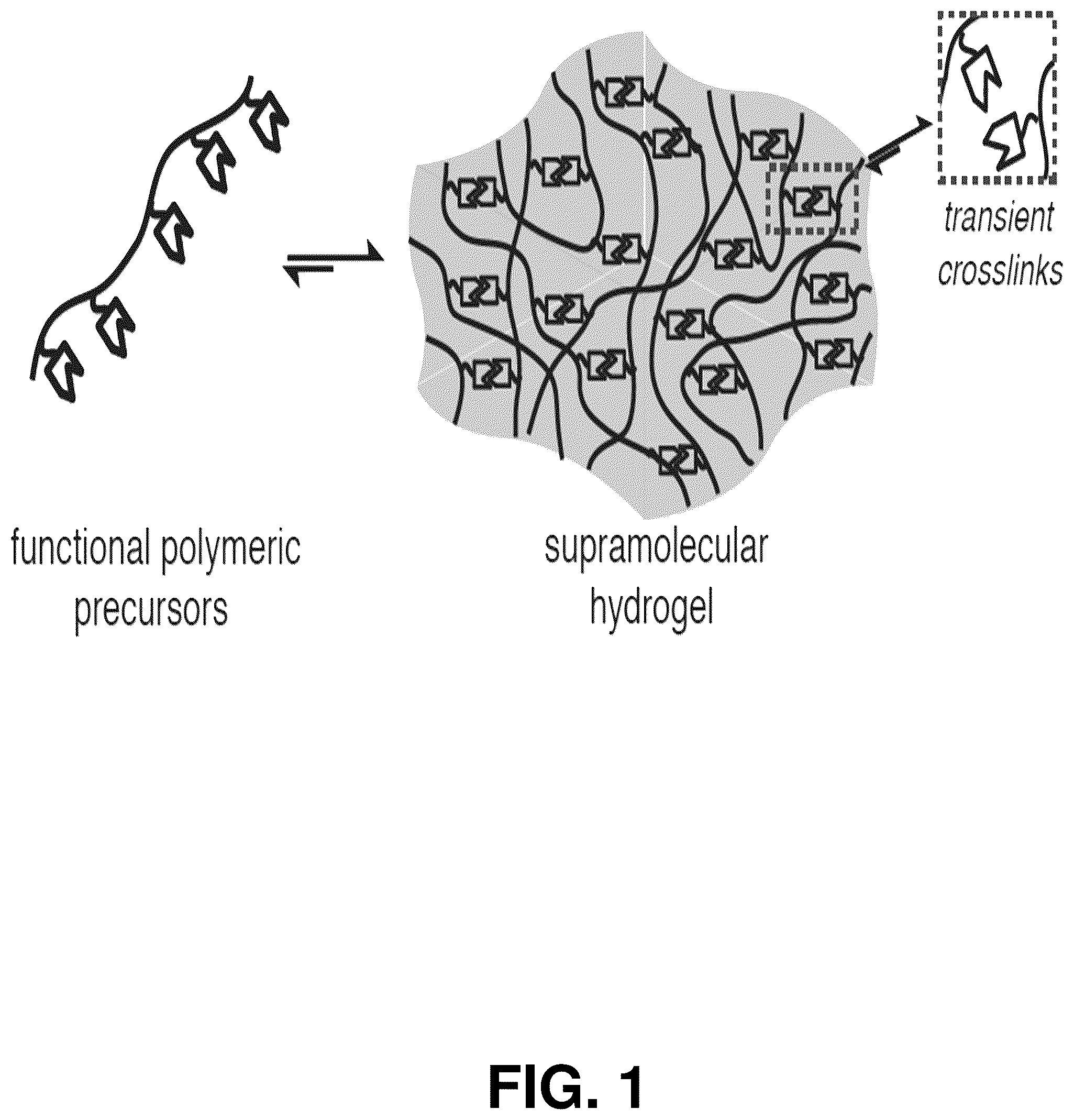 Patent US12599706 Figure 1 – Adhesion prevention with shear-thinning polymeric hydrogels