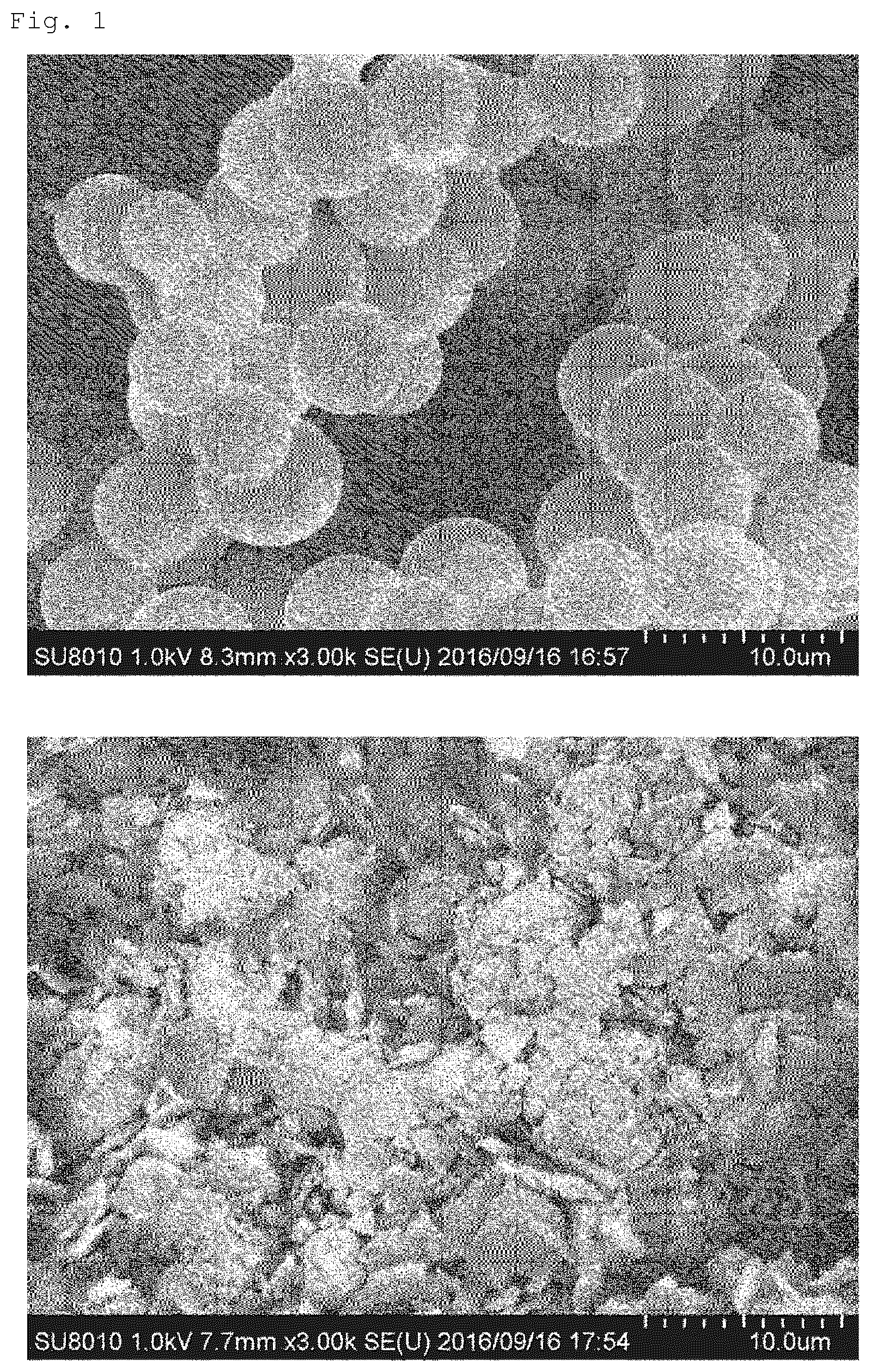 Patent US12599891 — Composite material, gas adsorbent, and method for producing composite material — Figure 1