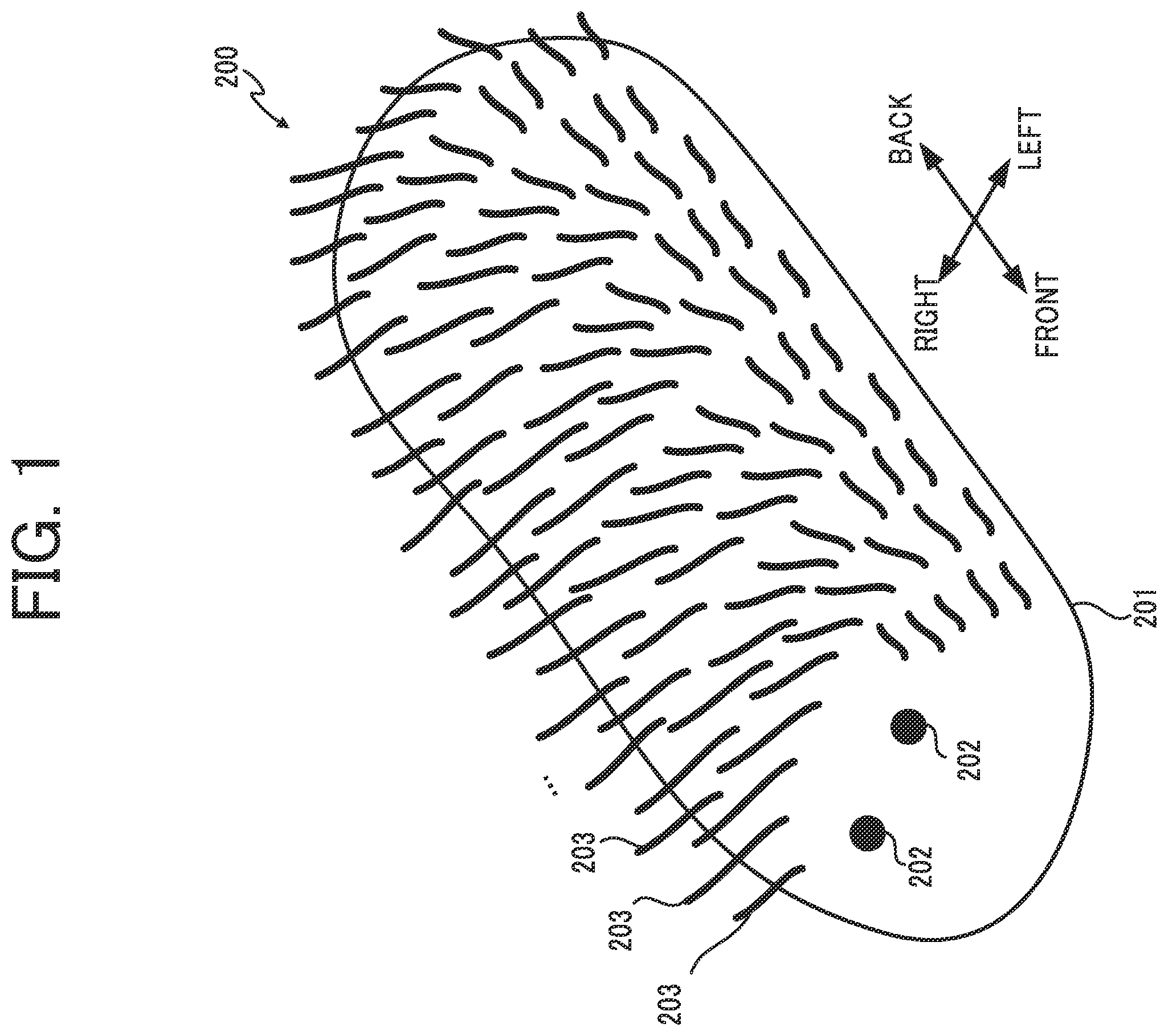 Patent US12602059 — Robot, control method for robot, and recording medium — Figure 1