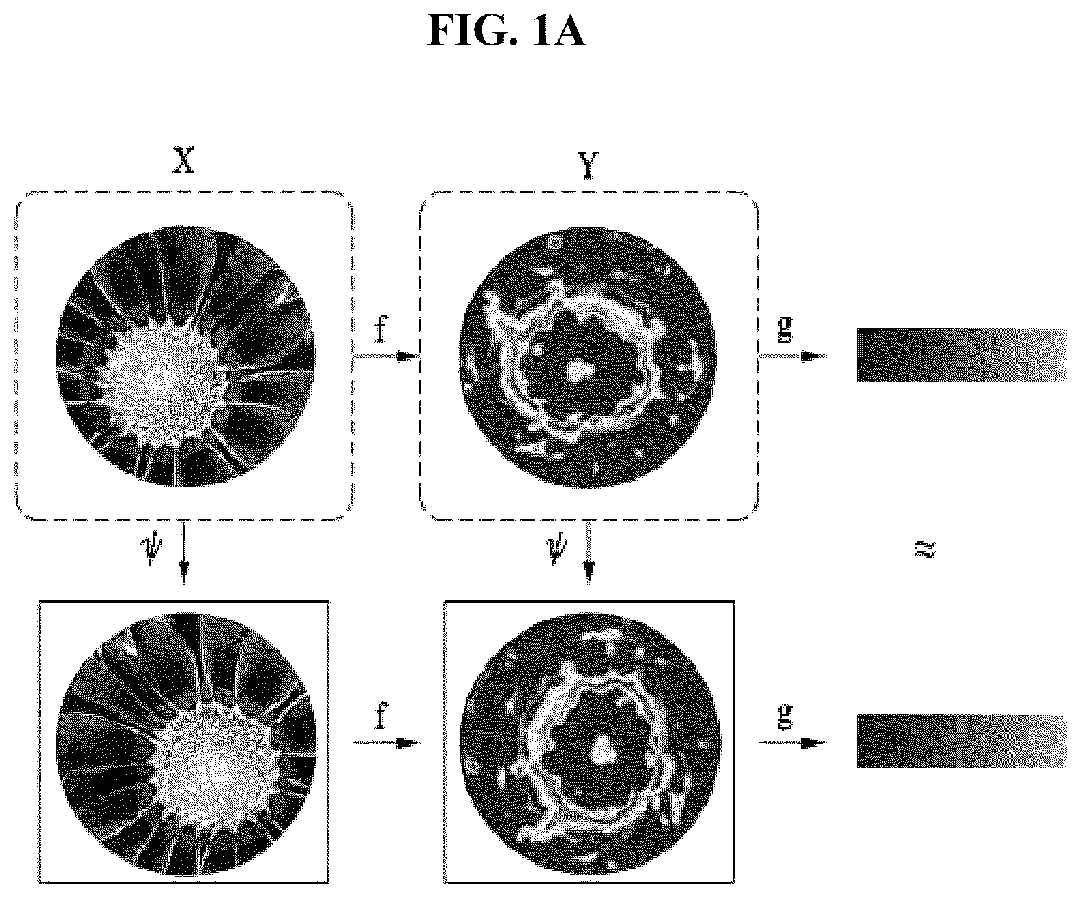 Patent US12602584 — Method and apparatus for learning equivariant and invariant representation for rotation of image based on graph convolutional network — Figure 1