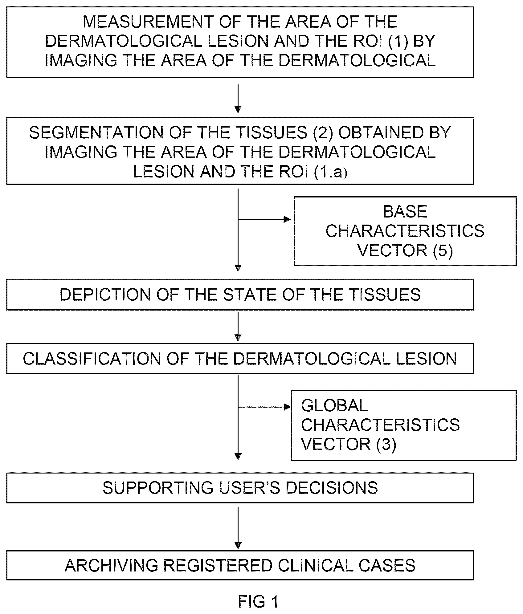 Patent US12602787 — Procedure for control, prognosis and comparative support related to dermatological lesions — Figure 1