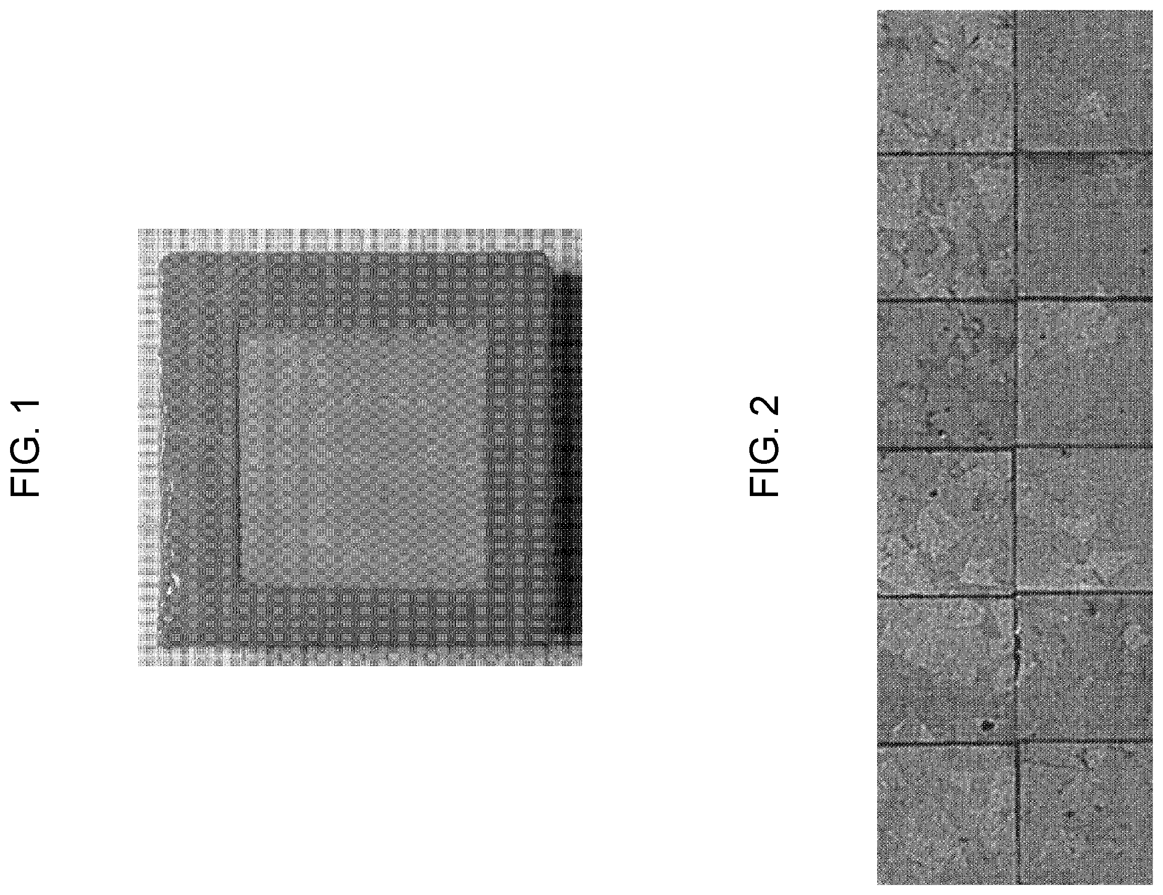 Patent US12610746 — Piezoelectric single crystal-polycrystalline ceramic composite, preparation method therefor, and piezoelectric and dielectric application components using same — Figure 1