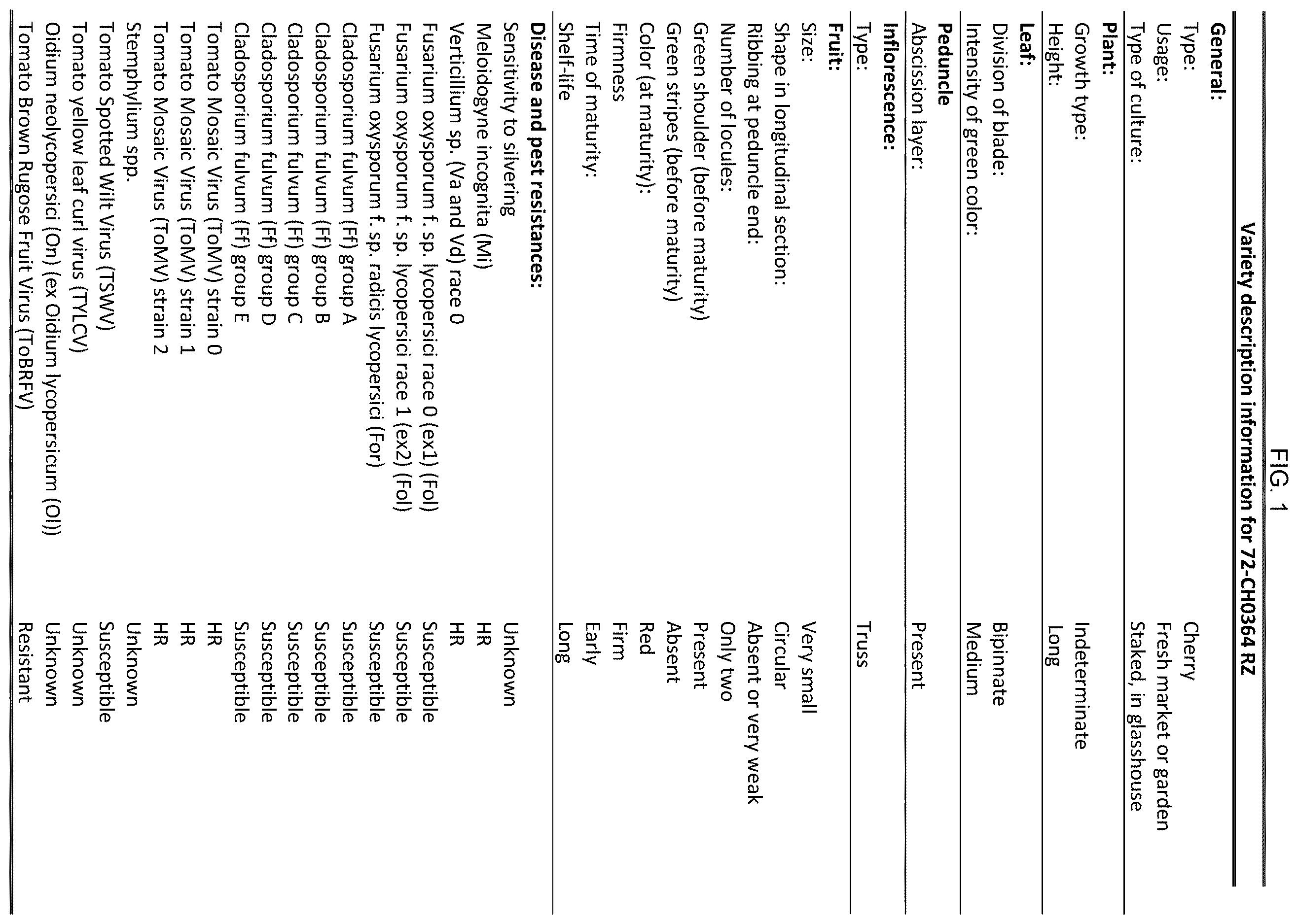Patent US12610920 — Hybrid tomato variety 72-CH0364 RZ — Figure 1