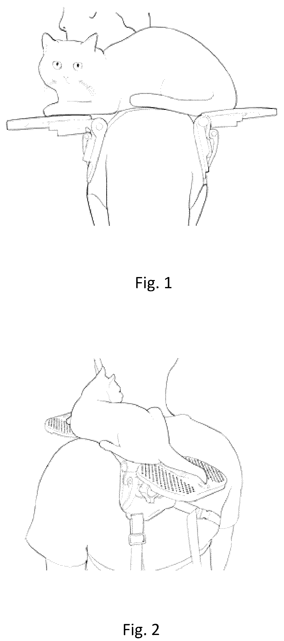 Patent US12610923 — Shoulder-mounted platform system — Figure 1