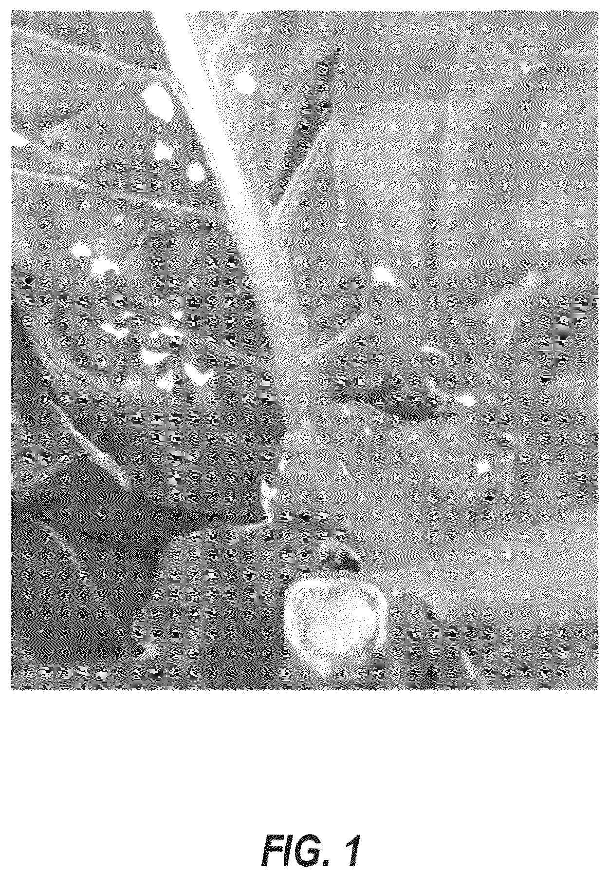 Patent US12610947 — Tobacco axillary bud growth inhibitors and methods of inhibiting growth of tobacco axillary buds — Figure 1