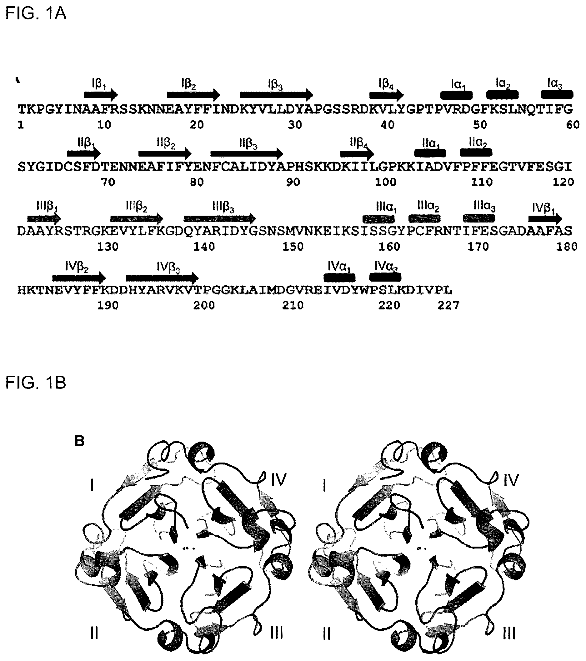 Patent US12610975 — Family of heme binding proteins that increase chelated iron content and improve flavor of nutritional supplements and food products — Figure 1