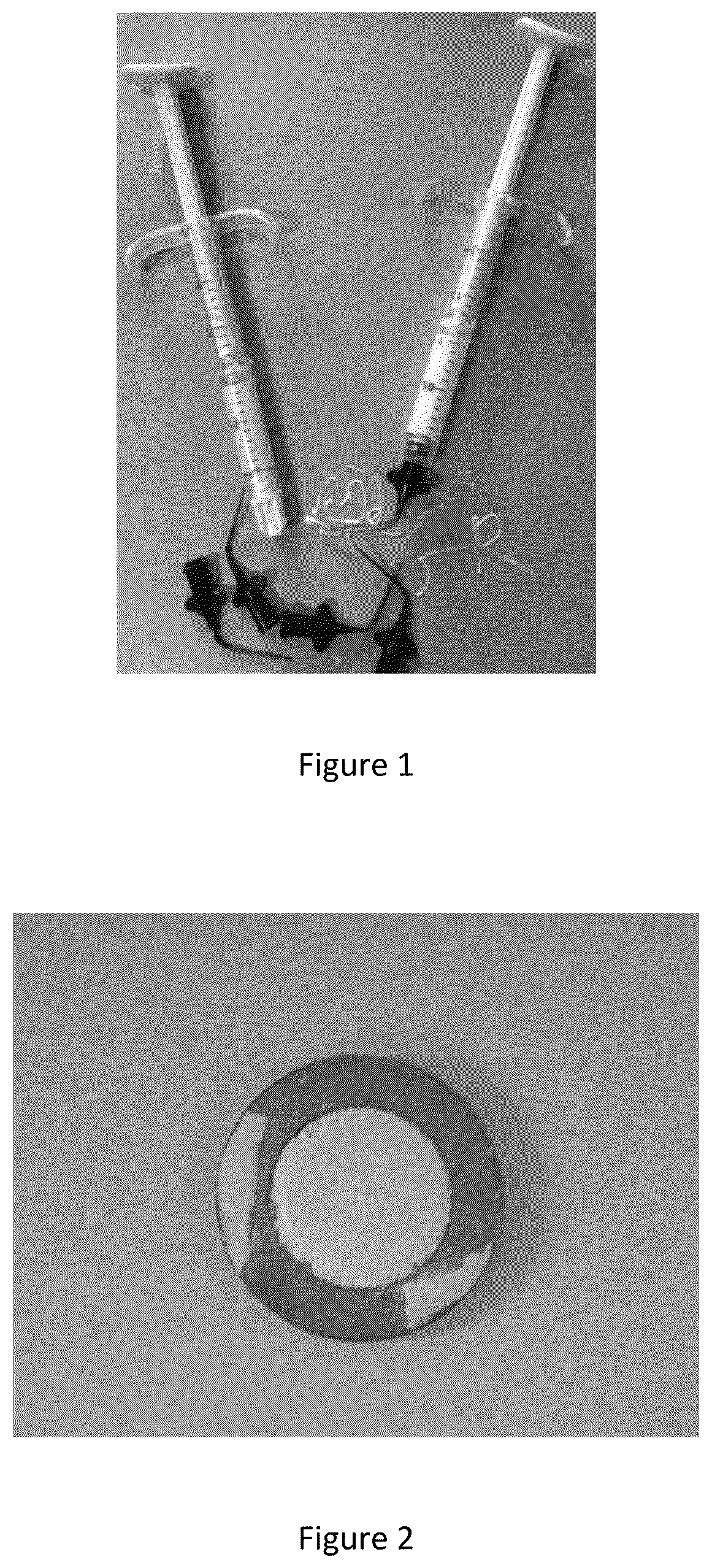 Patent US12611366 — Pre-mixed strontium silicate-based biological hydraulic cementing paste composition, preparation method therefor, and application thereof — Figure 1