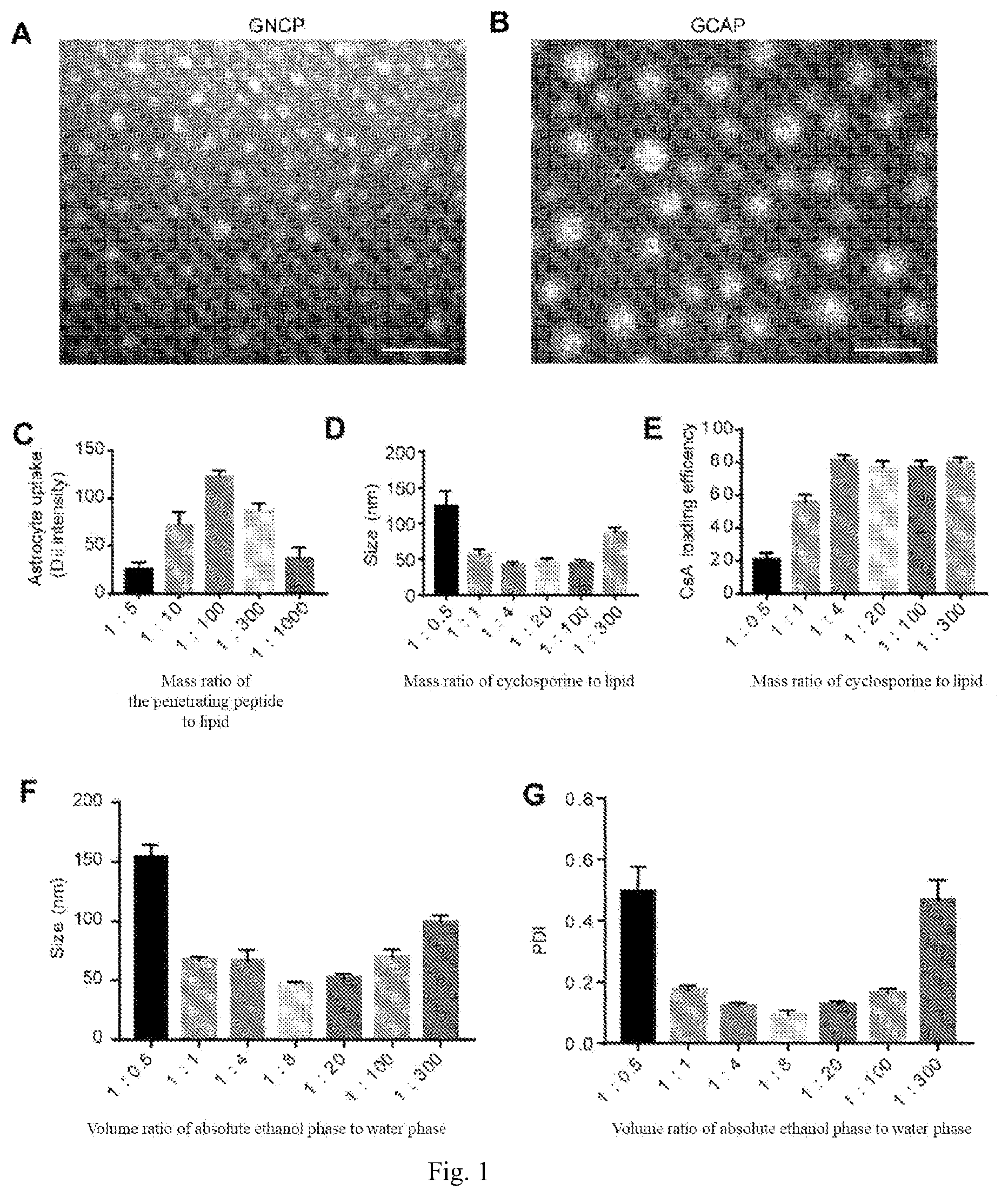 Patent US12611379 Figure 1 – Lipid nano drug delivery system targeting brain lesion and preparation method and application thereof
