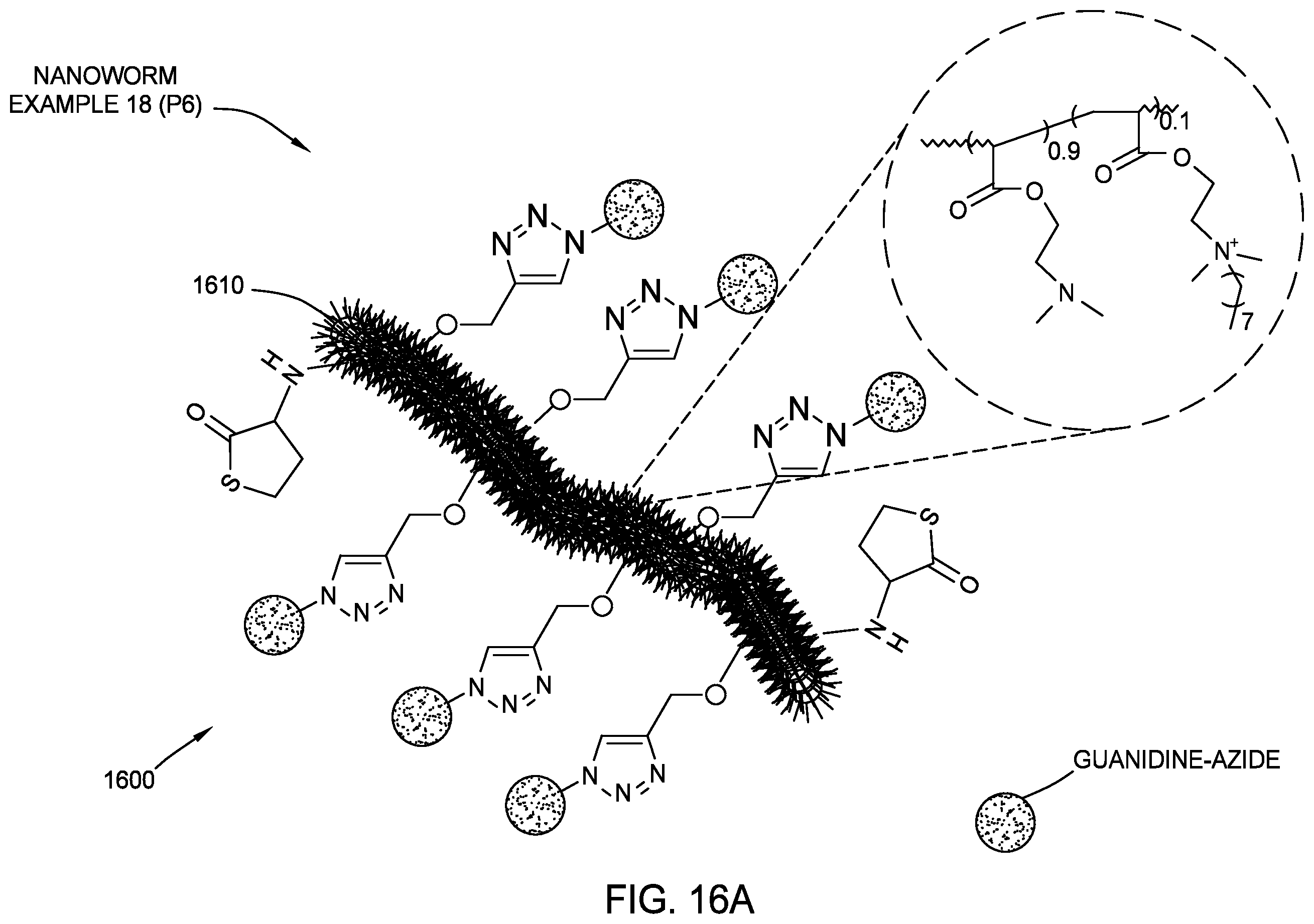 Patent US12611384 Figure 19 – Antimicrobial nanoworms