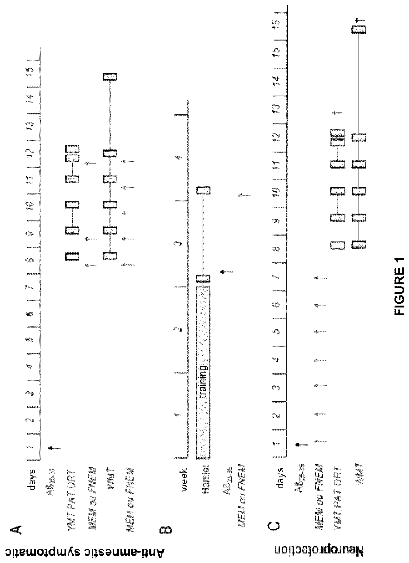 Patent US12611387 — Compound and composition for inducing neuroprotection — Figure 1