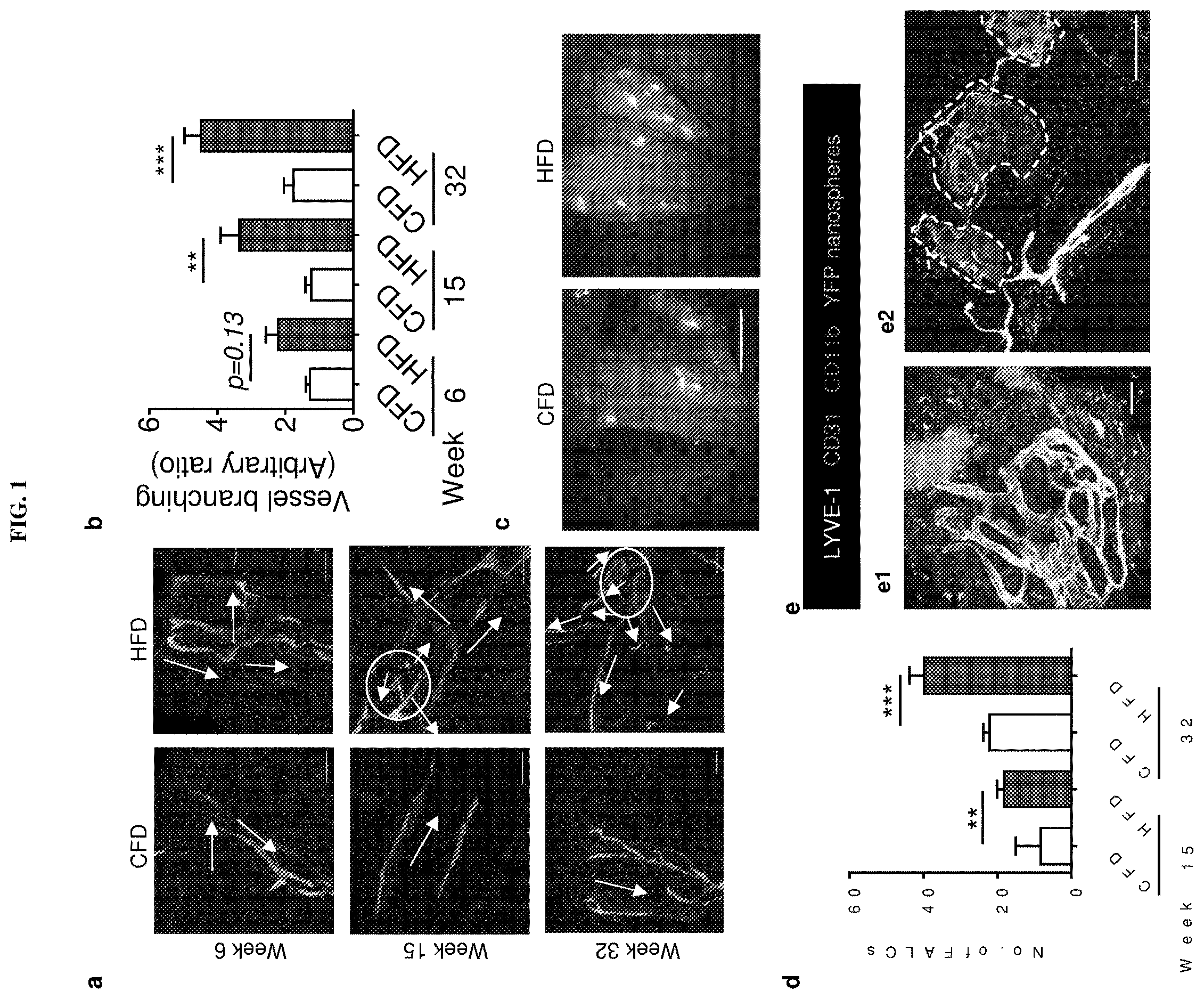 Patent US12611415 — Methods and compounds for treatment of metabolic disease — Figure 1