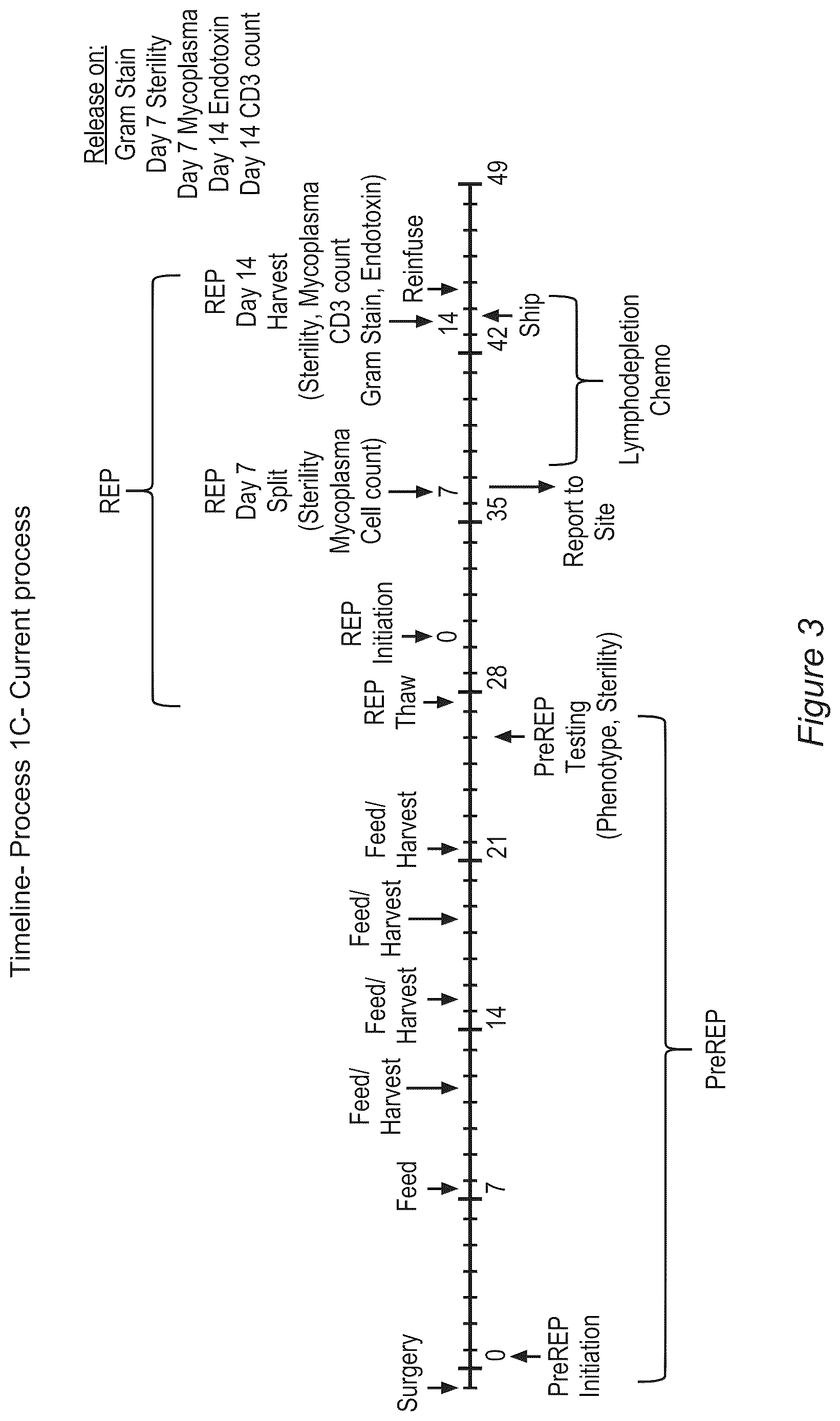 Patent US12611428 Figure 3 – Processes for production of tumor infiltrating lymphocytes and uses of same in immunotherapy