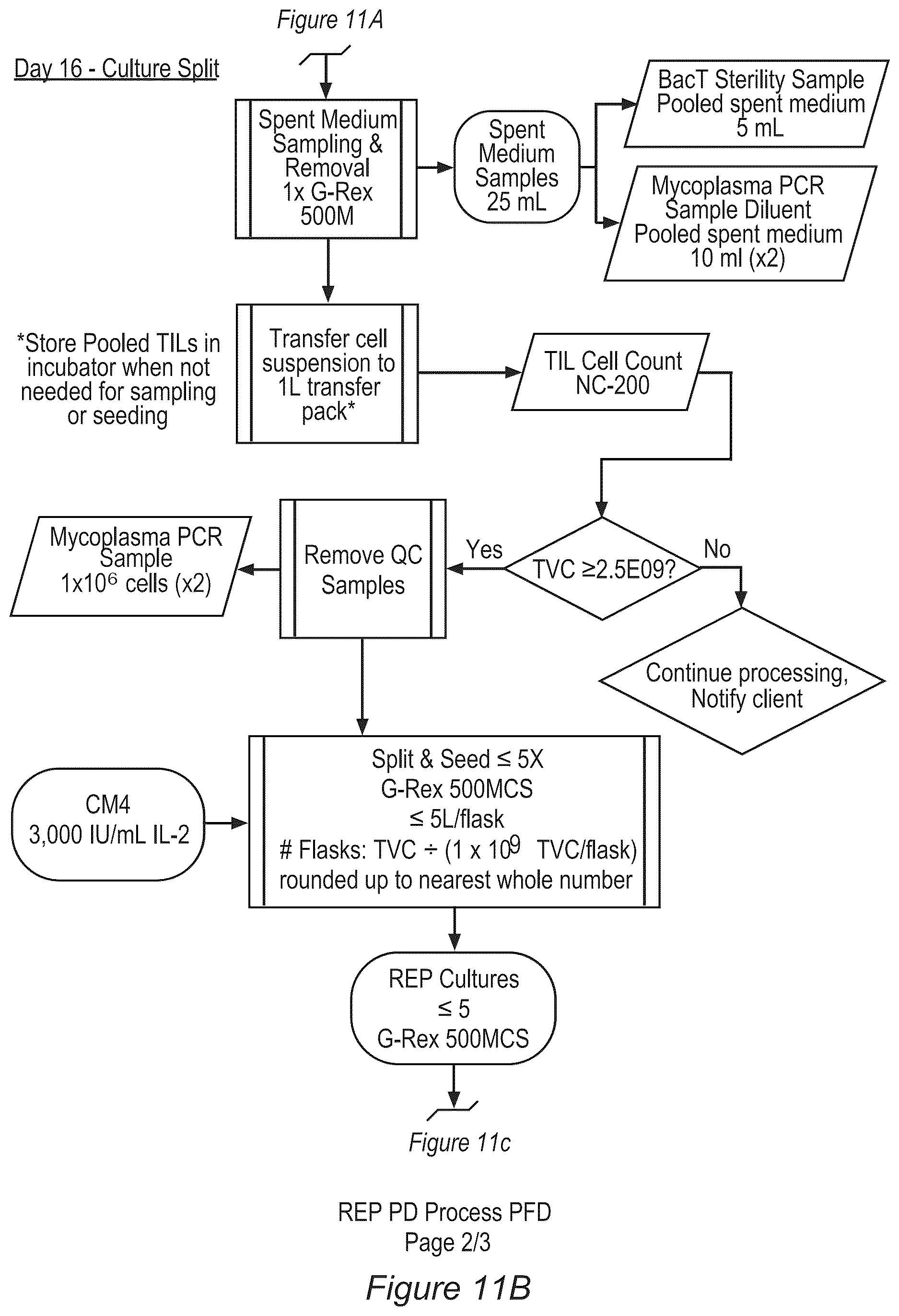 Patent US12611428 Figure 12 – Processes for production of tumor infiltrating lymphocytes and uses of same in immunotherapy