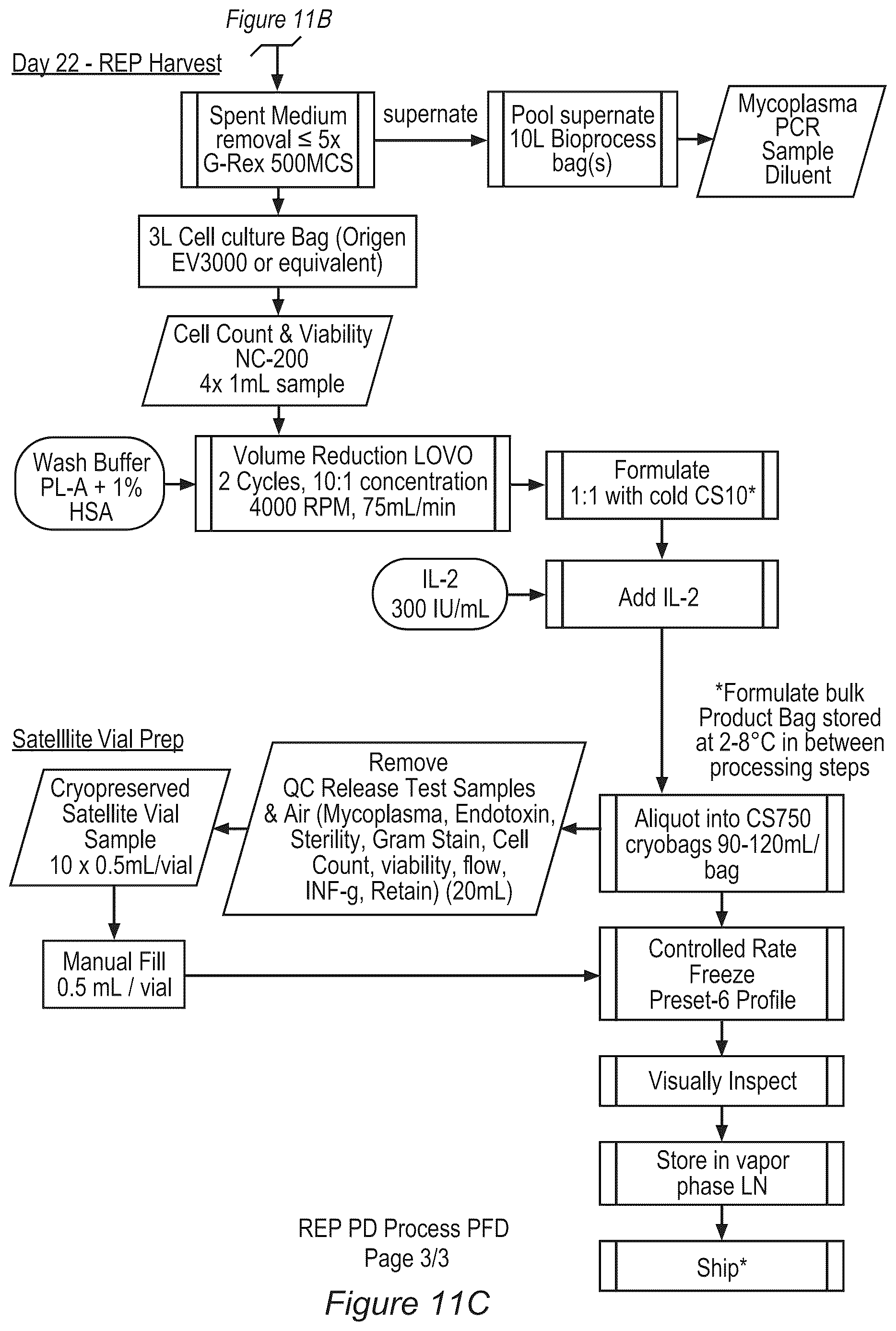 Patent US12611428 Figure 13 – Processes for production of tumor infiltrating lymphocytes and uses of same in immunotherapy