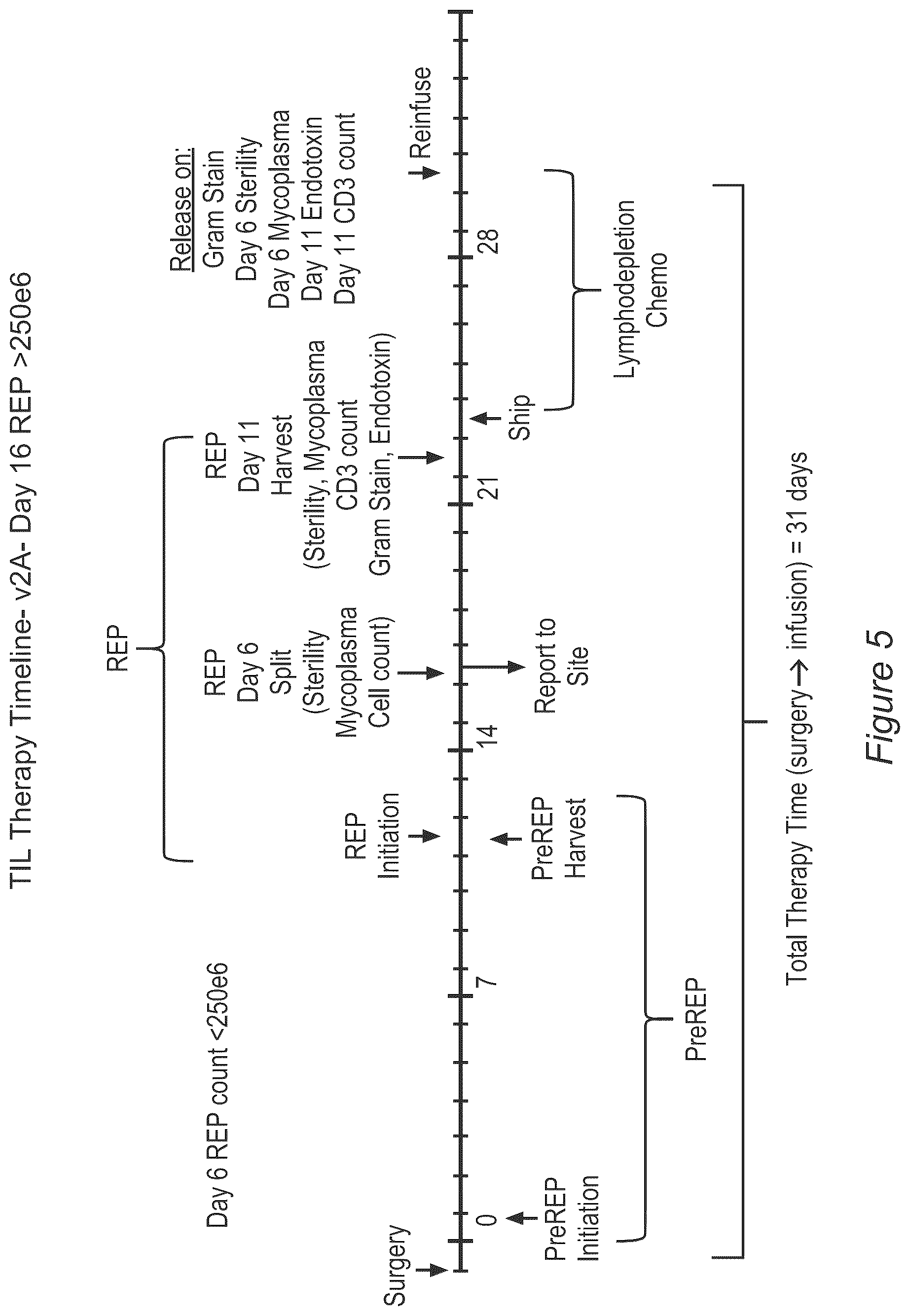 Patent US12611429 Figure 5 – Processes for production of tumor infiltrating lymphocytes and uses of same in immunotherapy