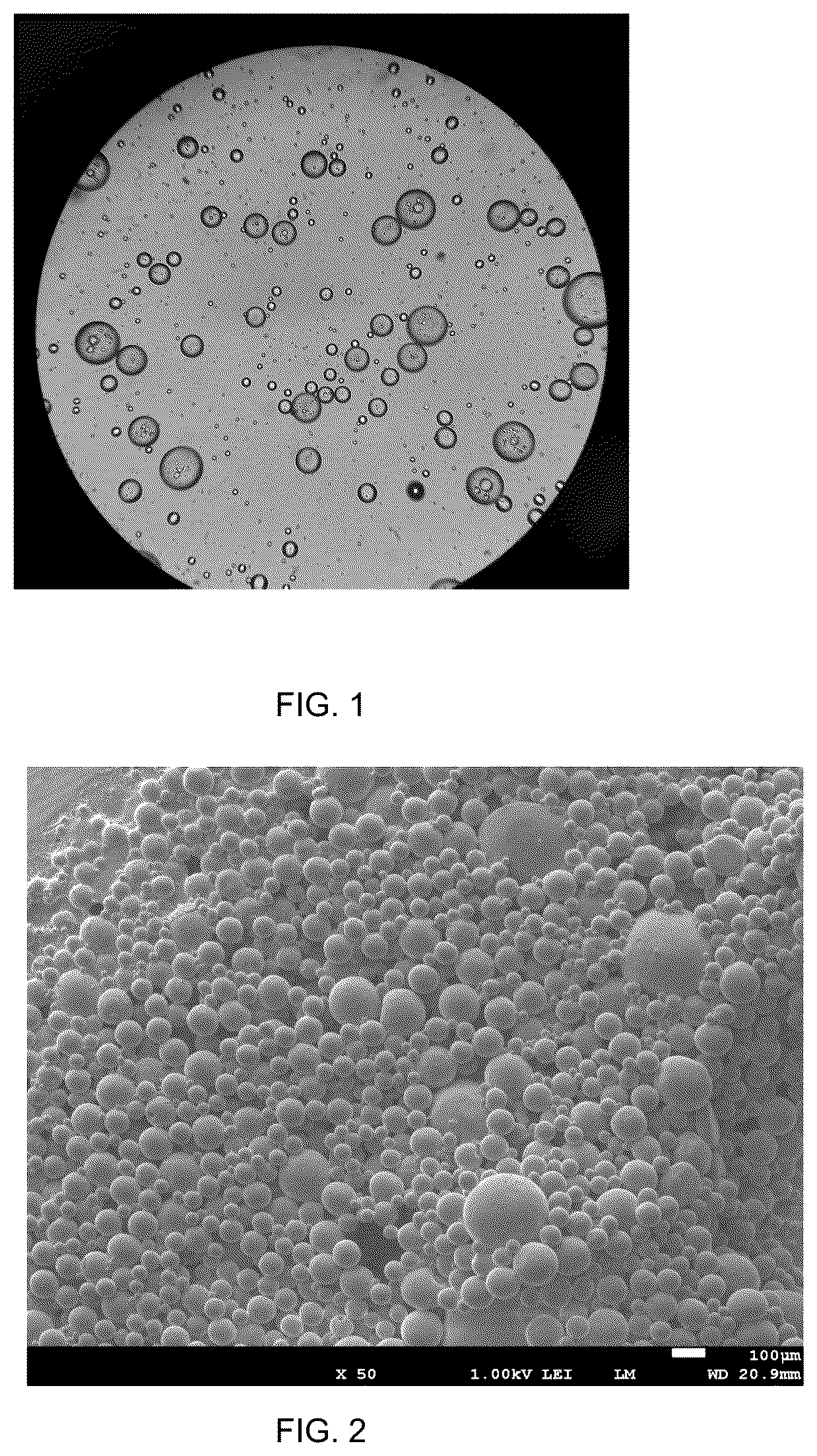 Patent US12611435 — Microencapsulation of bacteriophages and related products — Figure 1