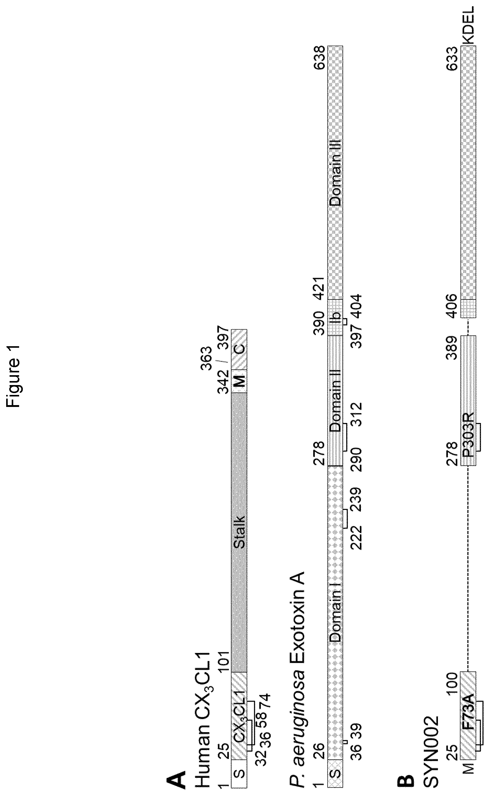 Patent US12611440 — Fusion proteins and uses thereof — Figure 1