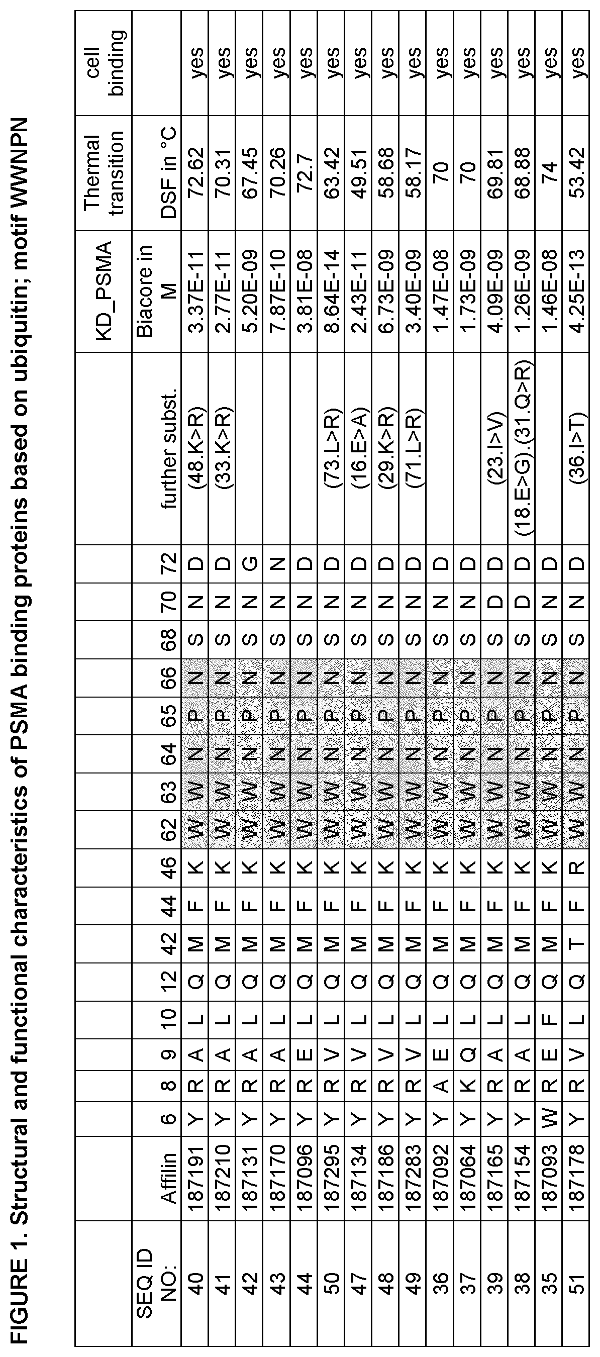 Patent US12611441 — PSMA specific binding proteins for cancer diagnosis and treatment — Figure 1