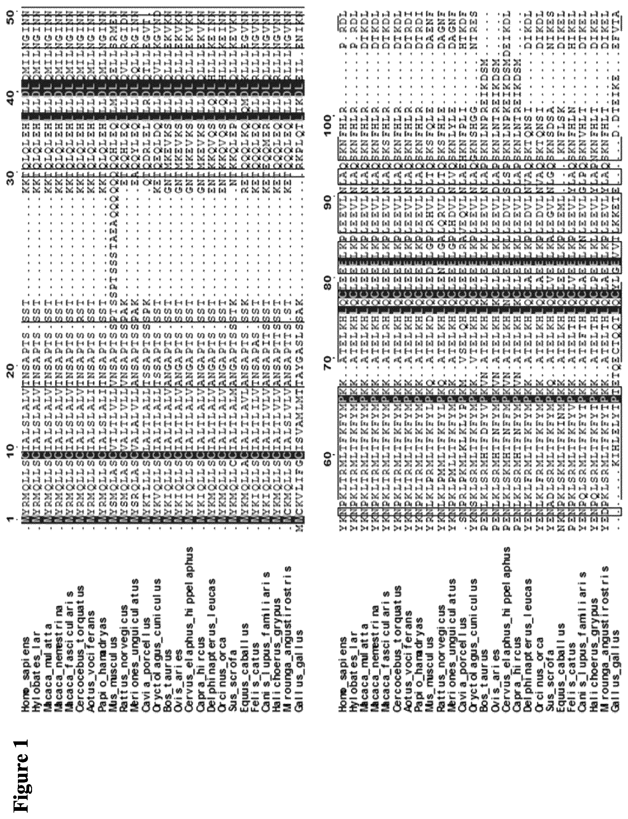 Patent US12611445 — Interleukin-2 variants with modified biological activity — Figure 1