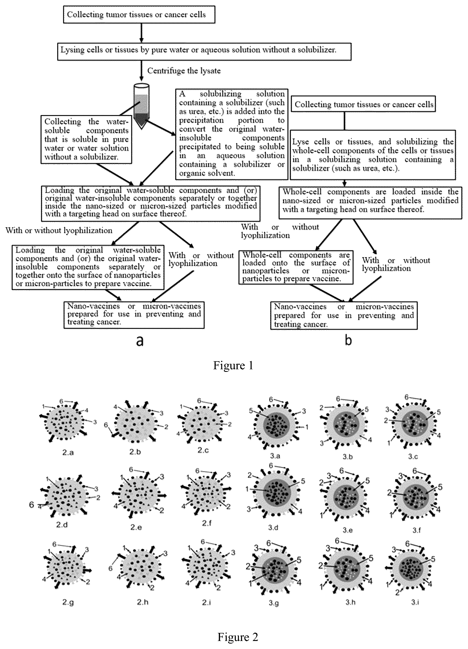 Patent US12611448 — Targeting delivery system loaded with whole-cell components and use thereof — Figure 1